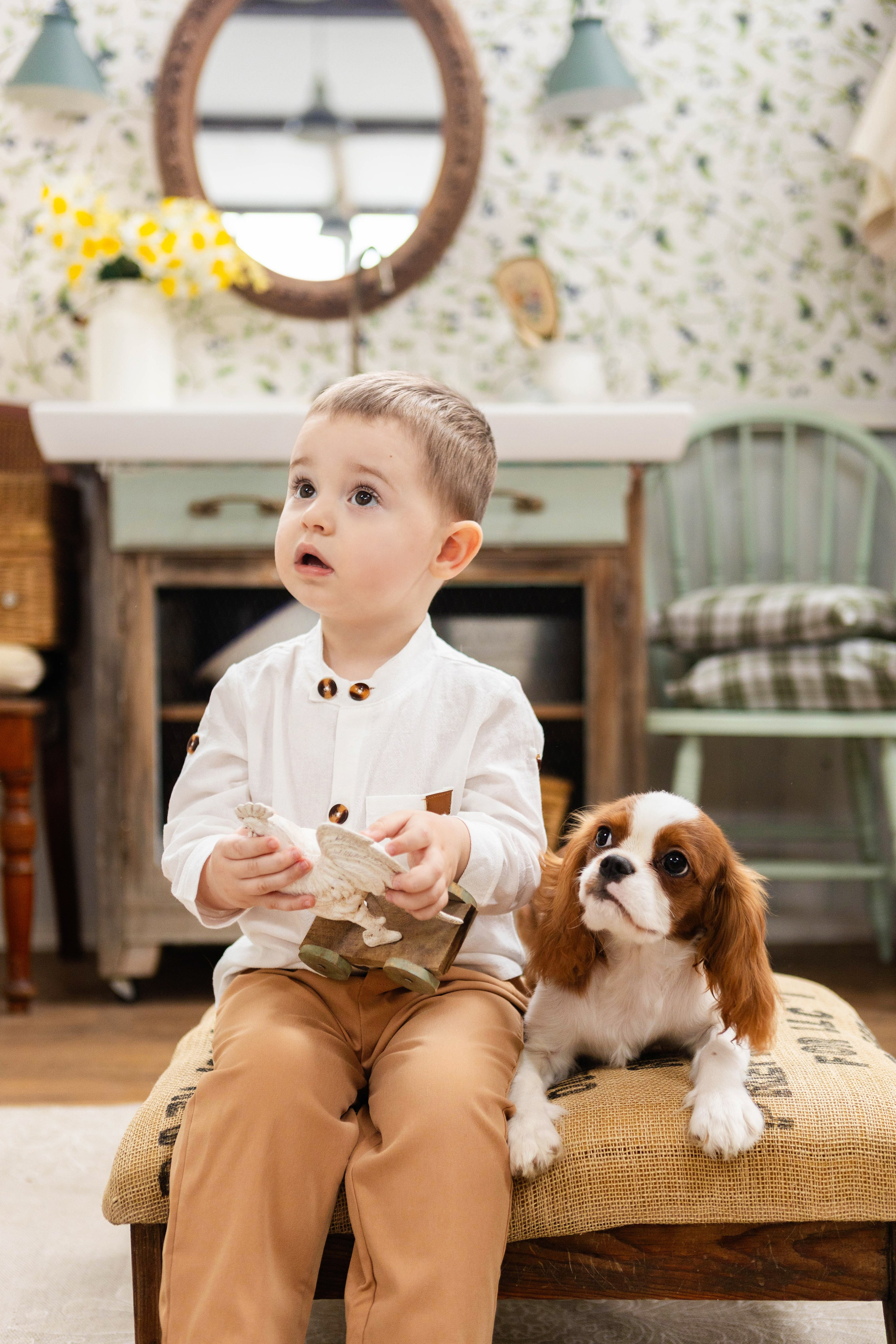 Фотосессия со щенками кавалер кинг чарльз спаниэль. Свадебный семейный и детский фотограф в Краснодаре Карина Федоровская