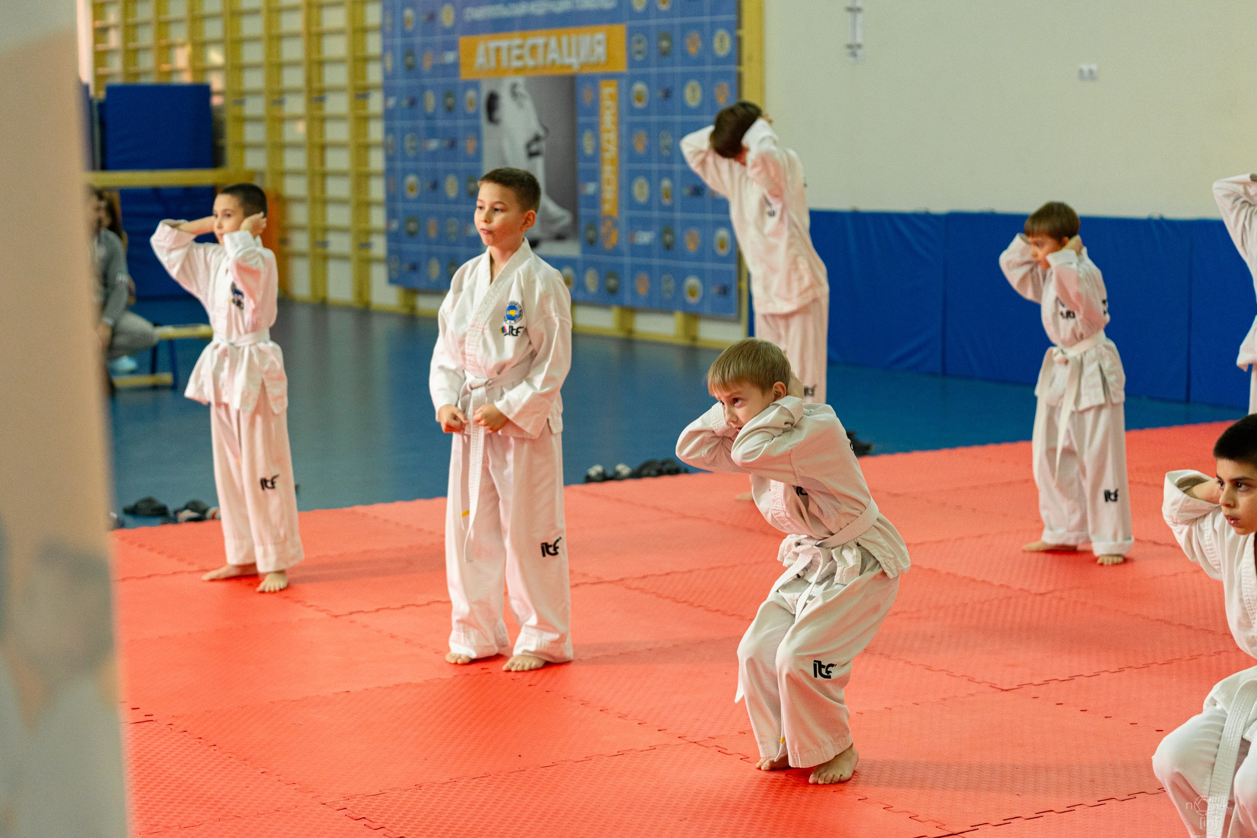 Аттестация Тхэкво. ФОТОГРАФ ИВАН НОВИКОВ | СТАВРОПОЛЬ