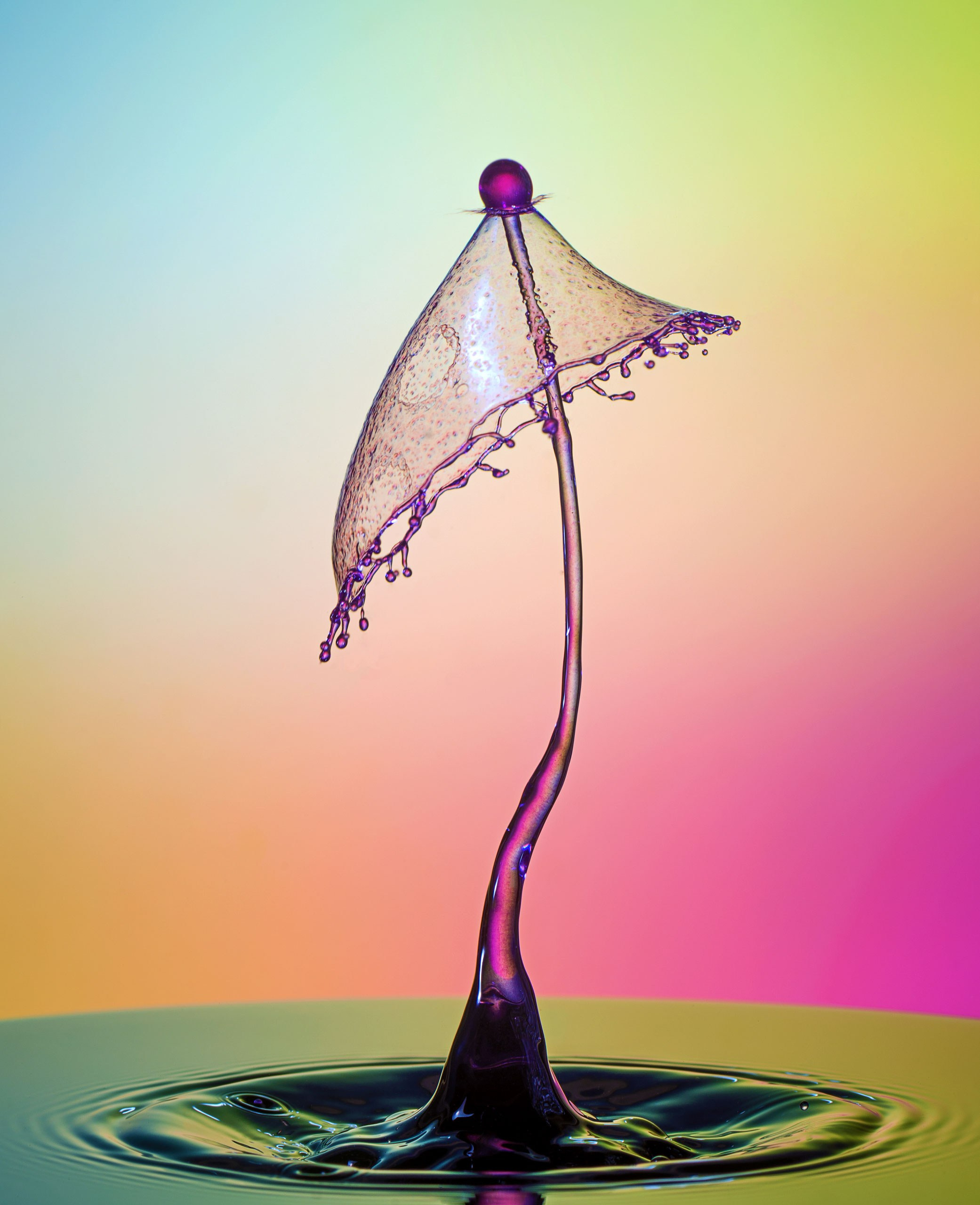 Классические формы. Скульптуры из воды Сергея Толмачева