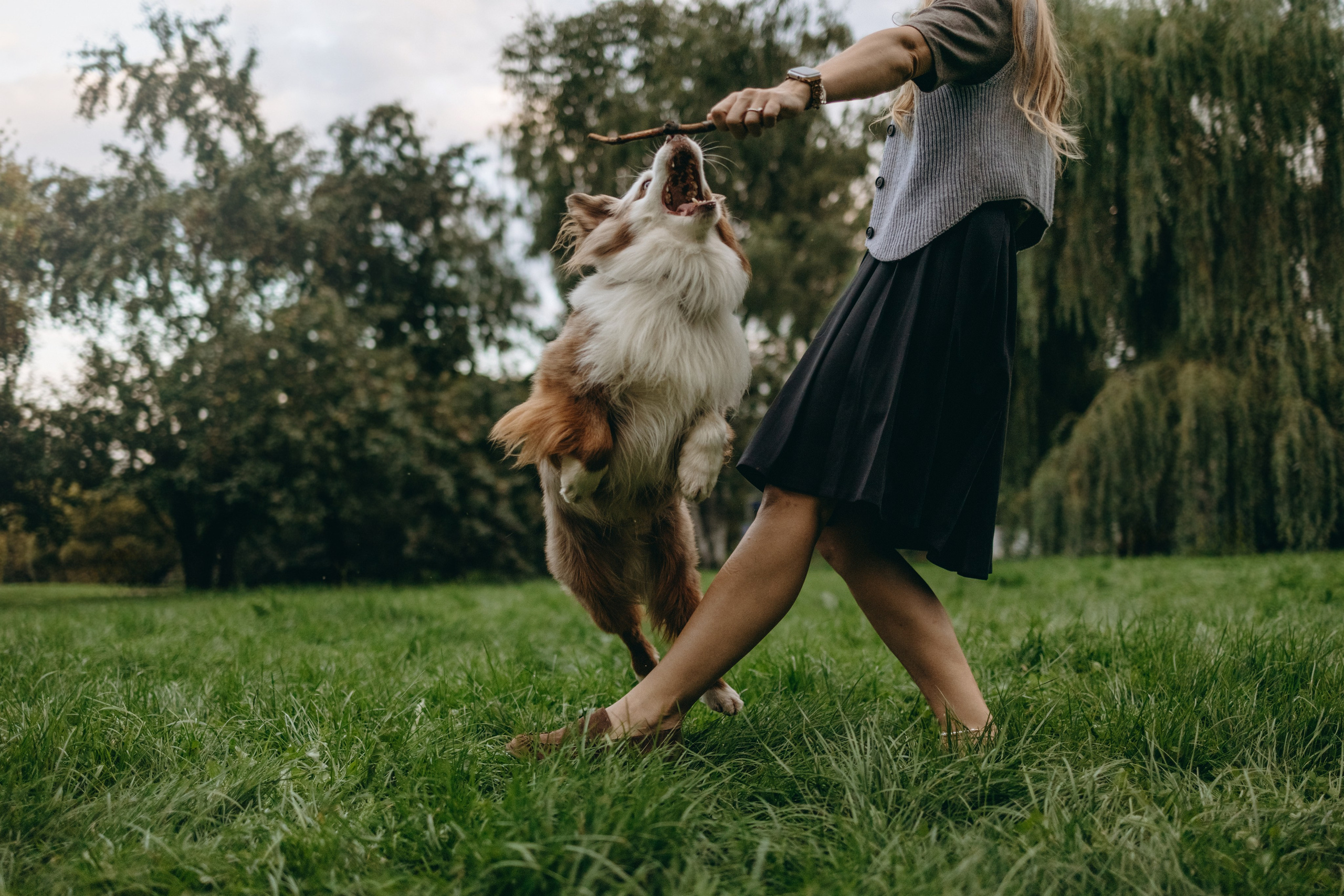 Маша и Эклер. Фотограф — Анималист | Санкт-Петербург