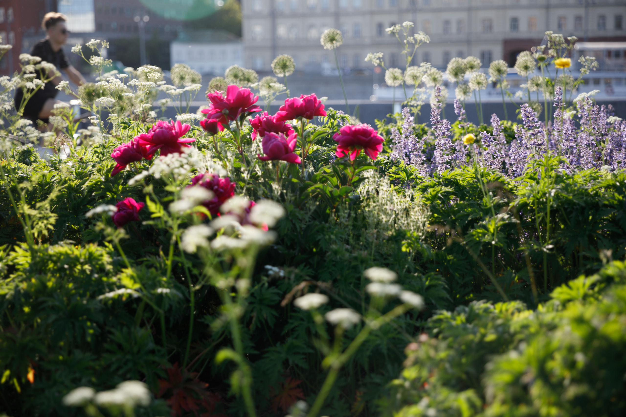Учителя — дефектологи, работающие с детьми с аутизом. Реклама курсов. Фотограф в Москве Слуцкая Наталья, репортаж, портрет, контент