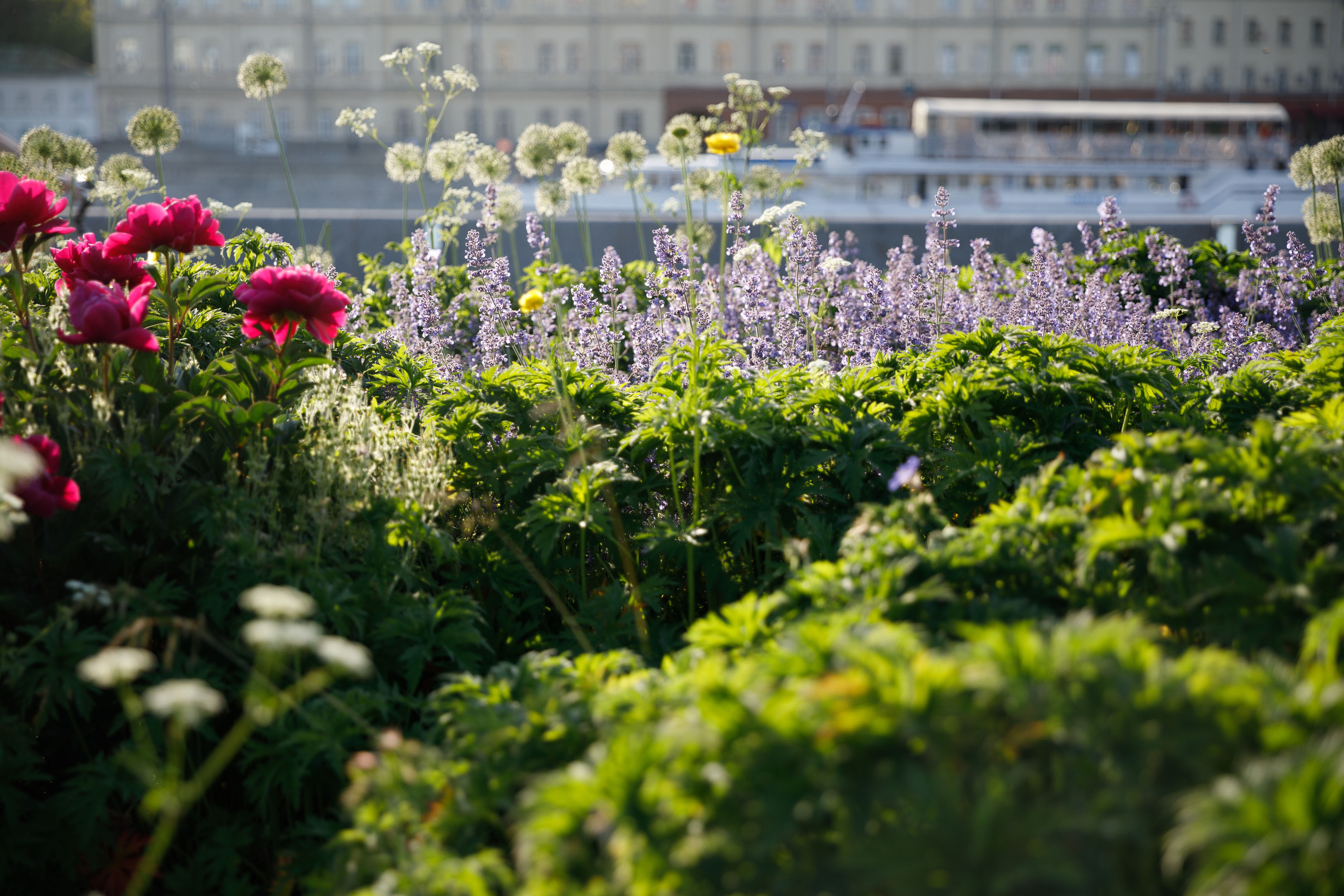 Учителя — дефектологи, работающие с детьми с аутизом. Реклама курсов. Фотограф в Москве Слуцкая Наталья, репортаж, портрет, контент