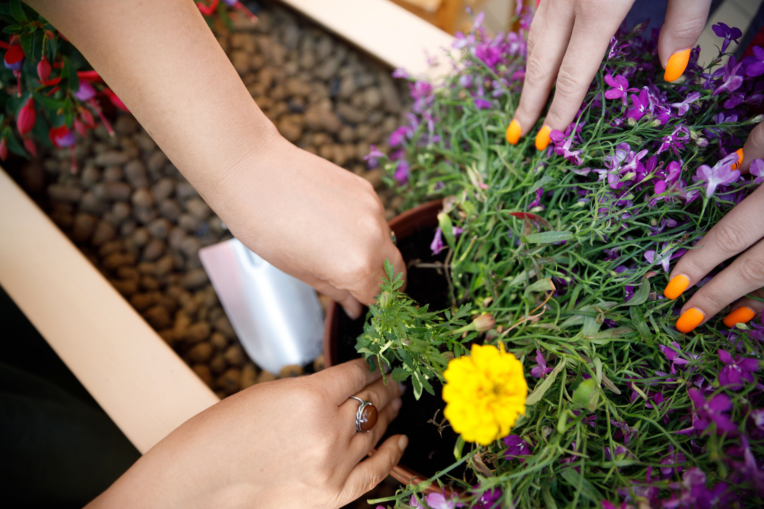 Учителя — дефектологи, работающие с детьми с аутизом. Реклама курсов. Фотограф в Москве Слуцкая Наталья, репортаж, портрет, контент