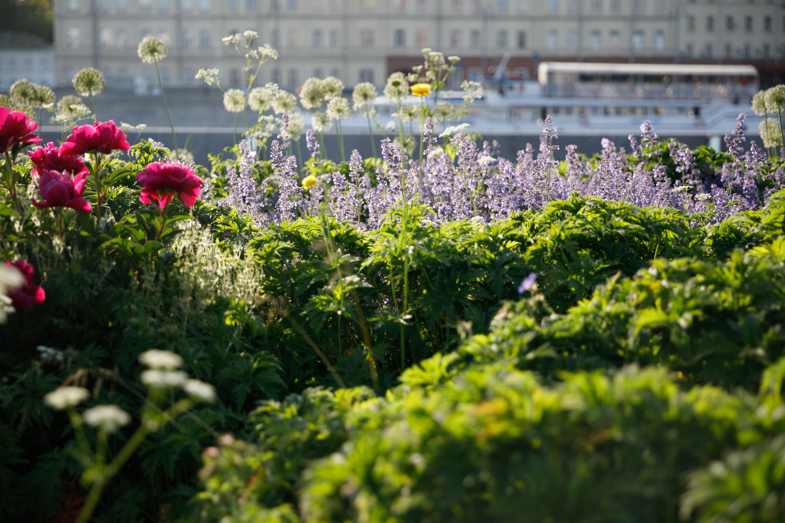 Учителя — дефектологи, работающие с детьми с аутизом. Реклама курсов. Фотограф в Москве Слуцкая Наталья, репортаж, портрет, контент