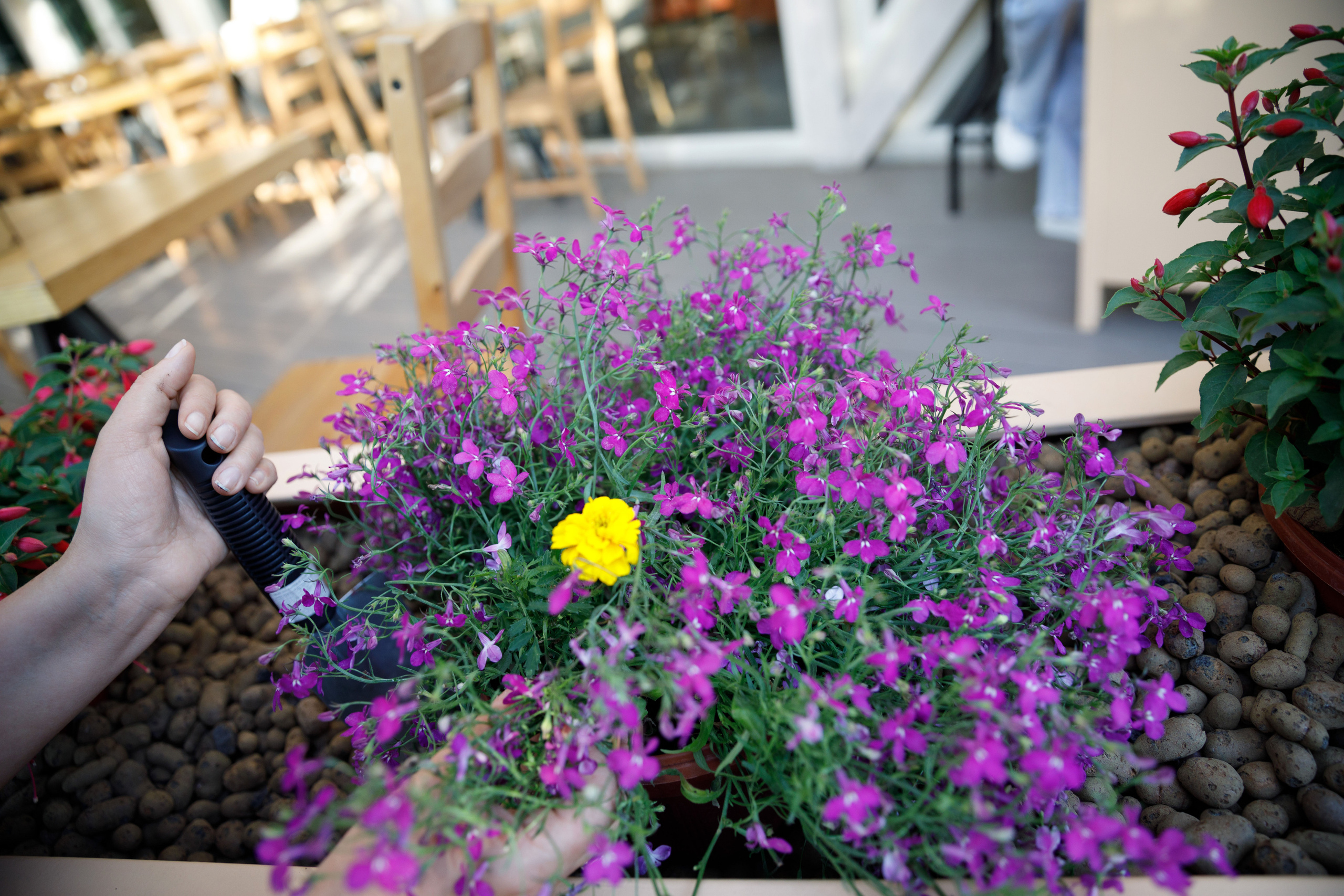 Учителя — дефектологи, работающие с детьми с аутизом. Реклама курсов. Фотограф в Москве Слуцкая Наталья, репортаж, портрет, контент