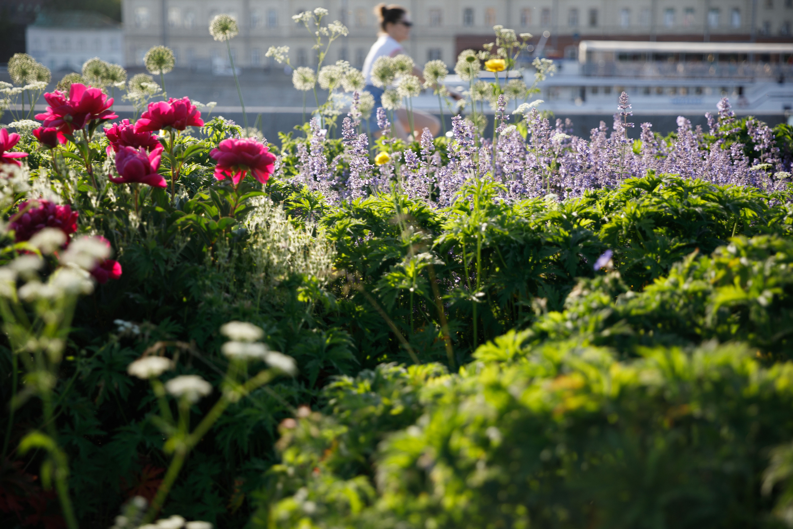 Учителя — дефектологи, работающие с детьми с аутизом. Реклама курсов. Фотограф в Москве Слуцкая Наталья, репортаж, портрет, контент