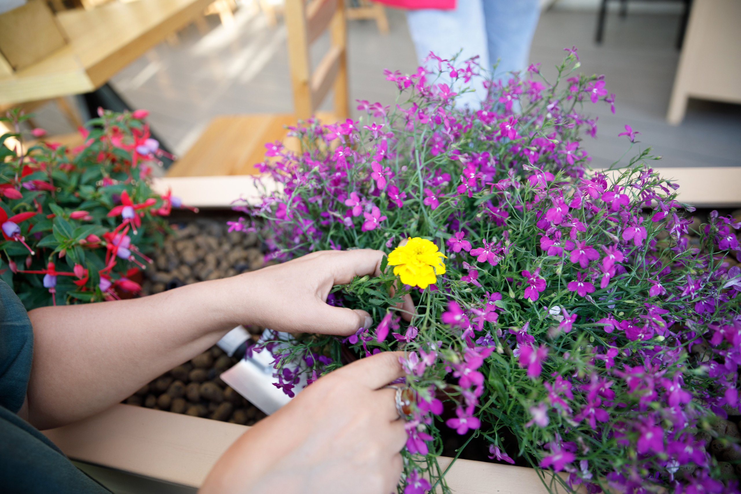 Учителя — дефектологи, работающие с детьми с аутизом. Реклама курсов. Фотограф в Москве Слуцкая Наталья, репортаж, портрет, контент