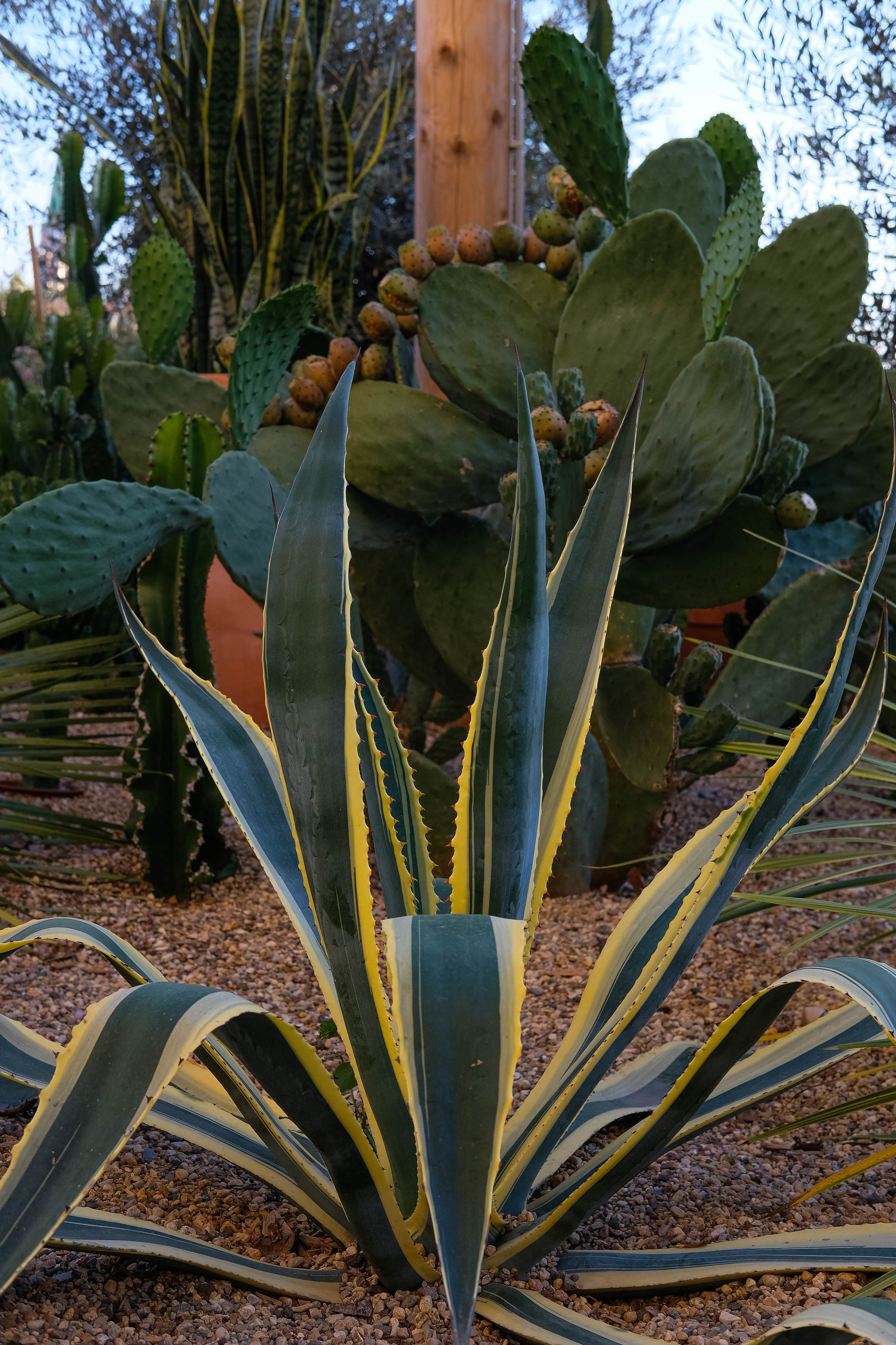 Москва 2024. Свадебный и семейный фотограф в Новосибирске, Санкт-Петербурге, Москве