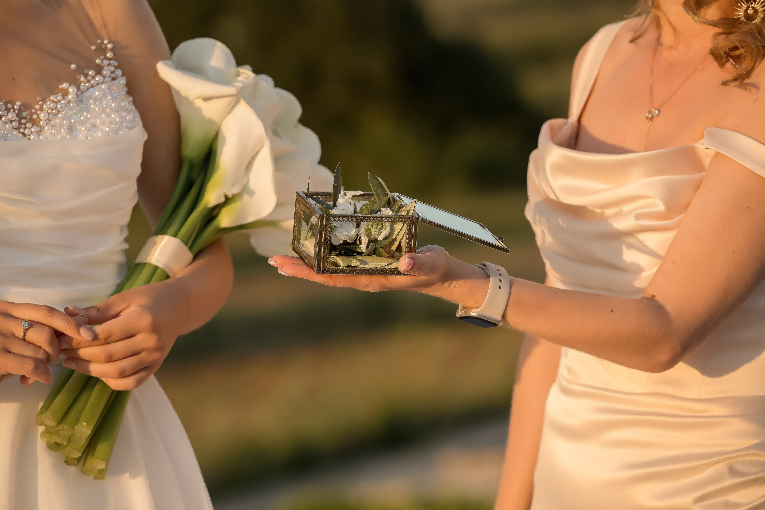 Владимир и Елизавета. Свадебный и семейный фотограф в Севастополе Элеонора Семашко