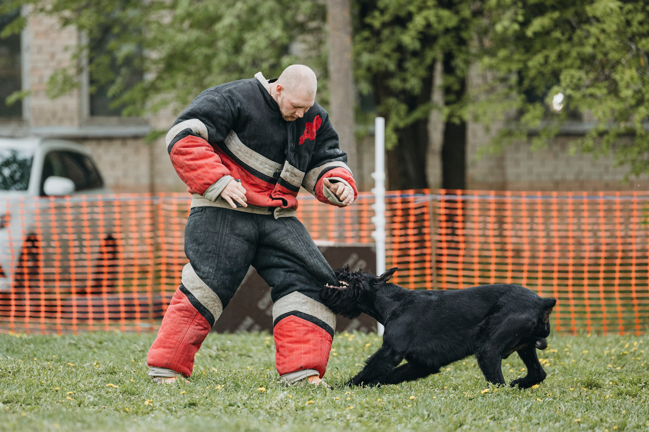26.05.25 г. Пушкин квалификационные соревнования. Фотограф-анималист Анна Маринич