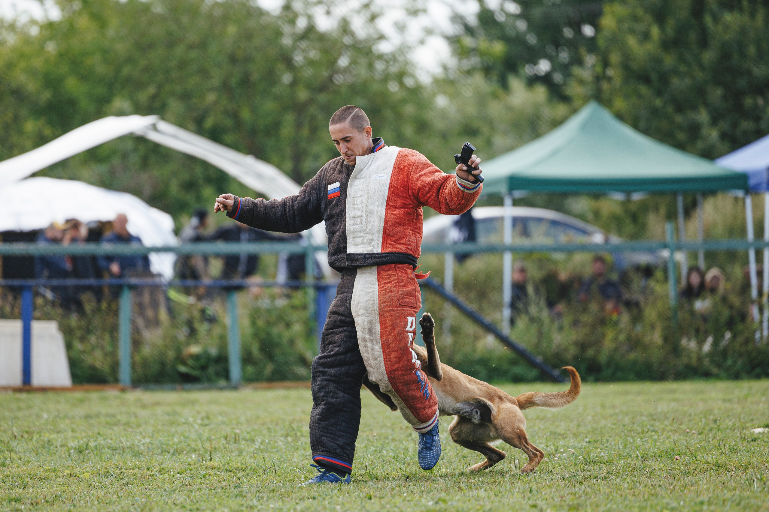 08.08.25-10.08.25 ЧР по мондьорингу г. Вологда. Фотограф-анималист Анна Маринич