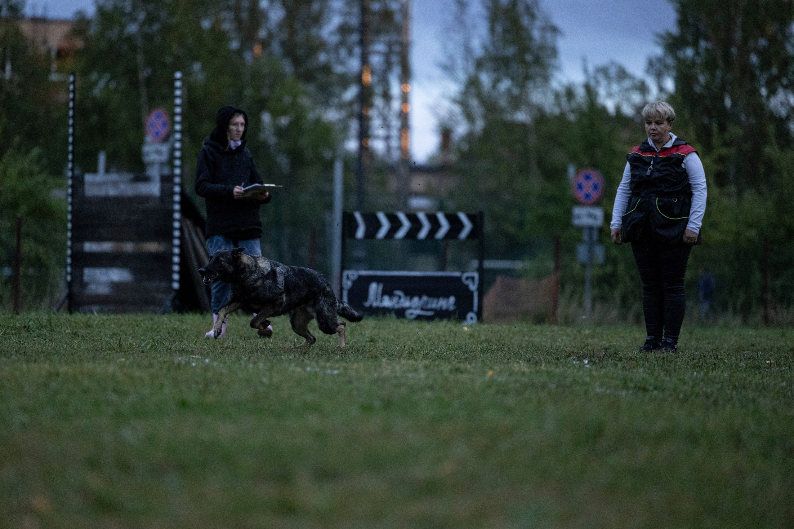 Испытания по Мондьорингу г. Пушкин. Фотограф-анималист Анна Маринич