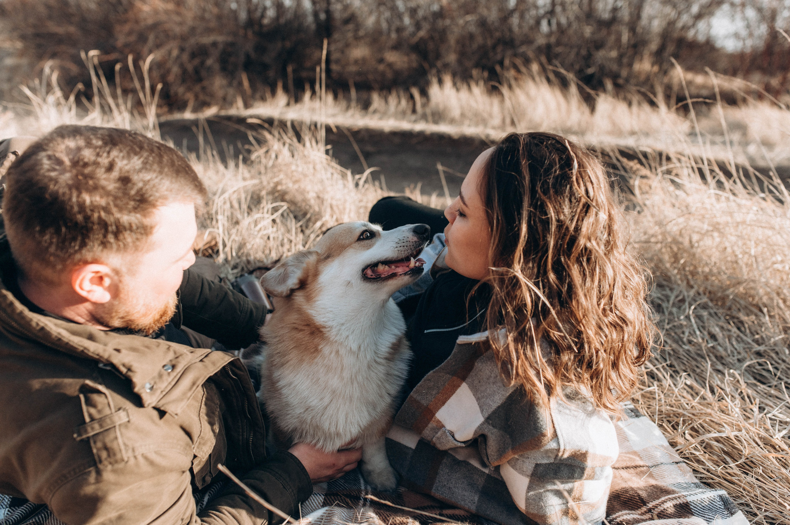 Лёша, Аня и Акс. Свадебный и семейный фотограф в Чите Юлия Оранская