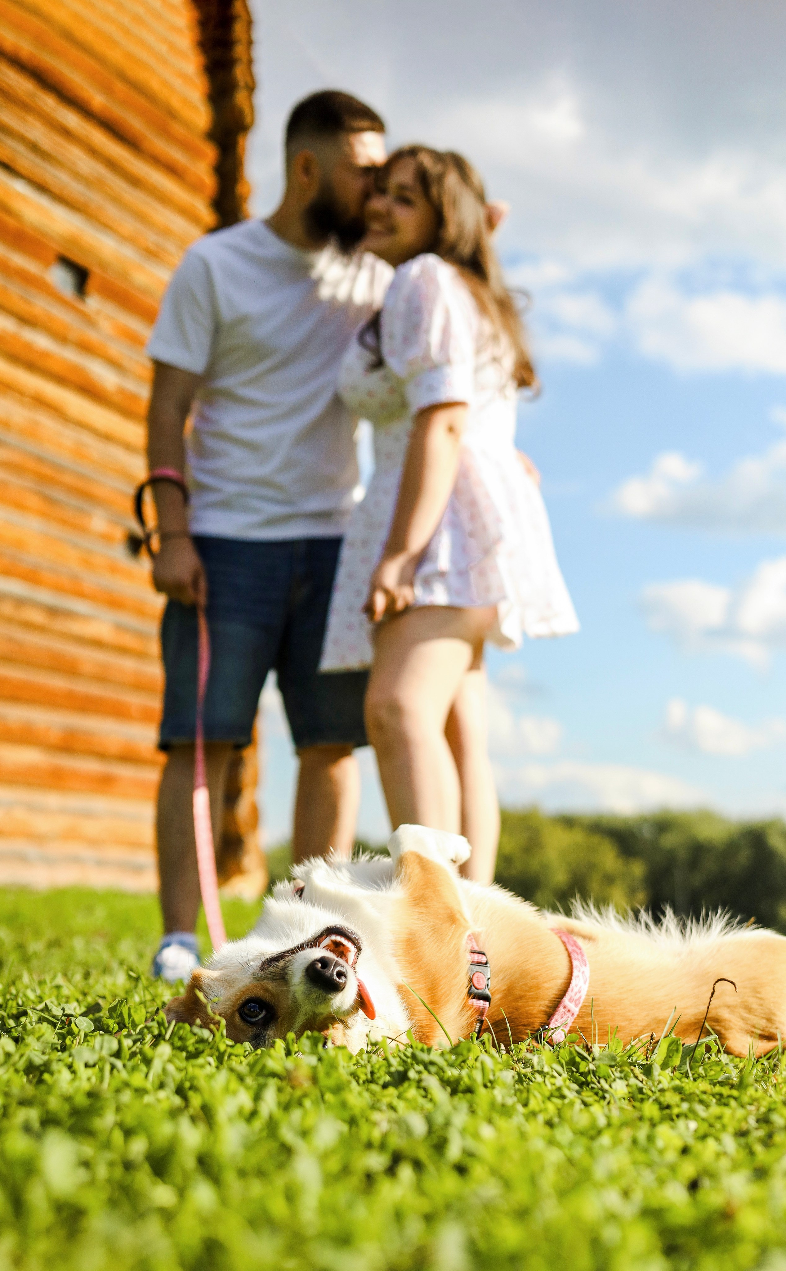 Эмили, Аня и Лёша. Фотограф-анималист Ксения Шевцова|Москва