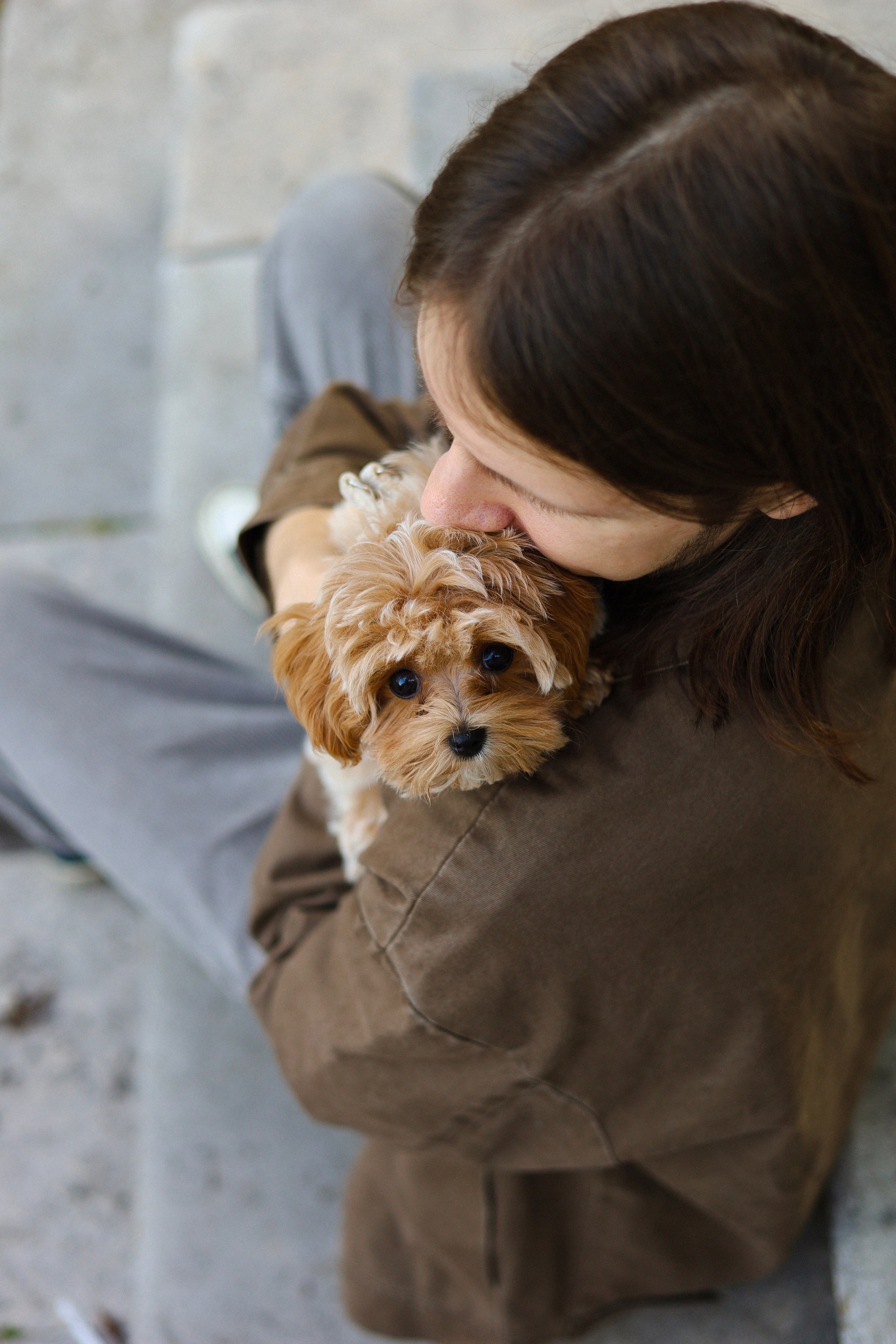 Лили, Роман и Анастасия. Фотограф-анималист Ксения Шевцова|Москва