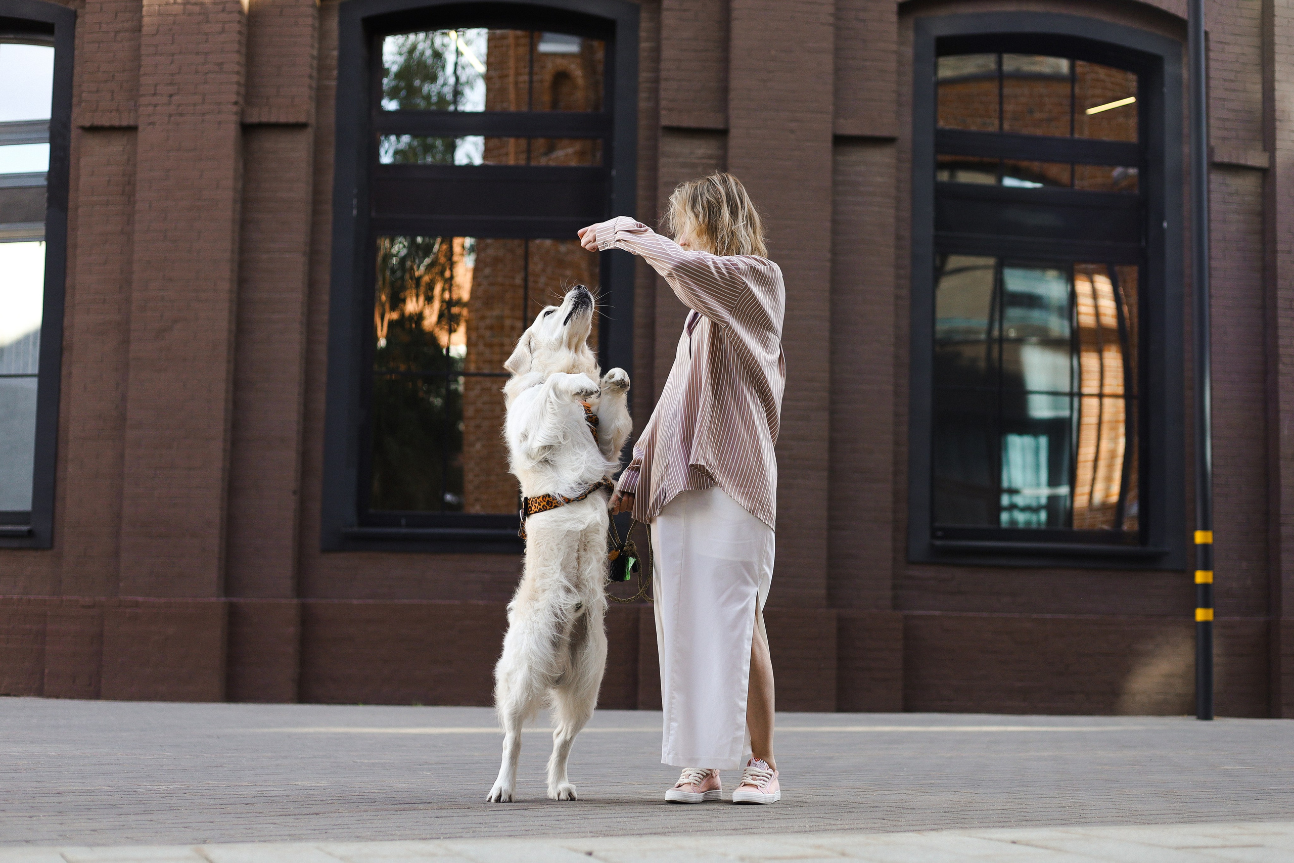 Зиз и Юля. Часть 3. Фотограф-анималист Ксения Шевцова|Москва