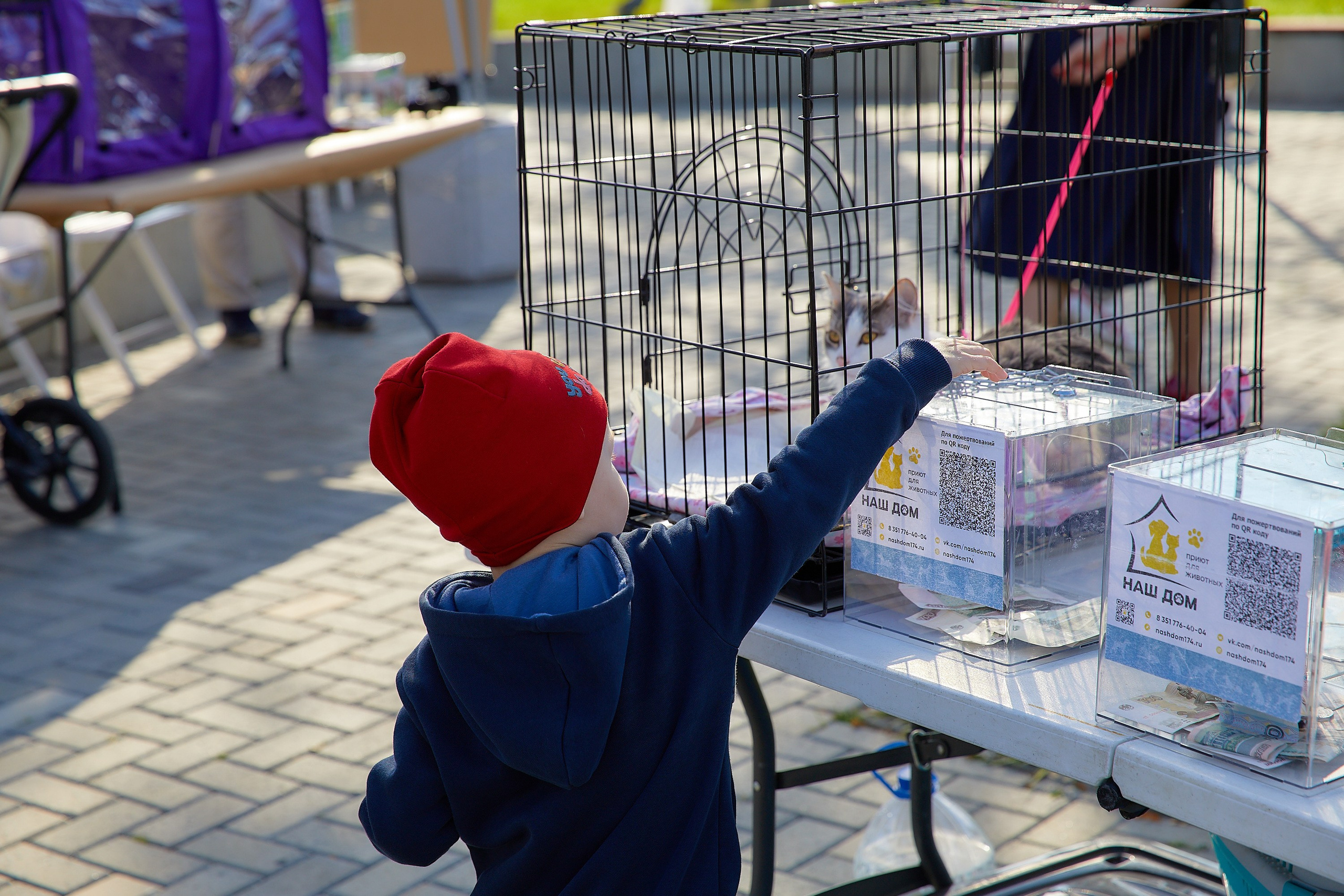 Мероприятия. Галина Шабурова, фотограф в Челябинске