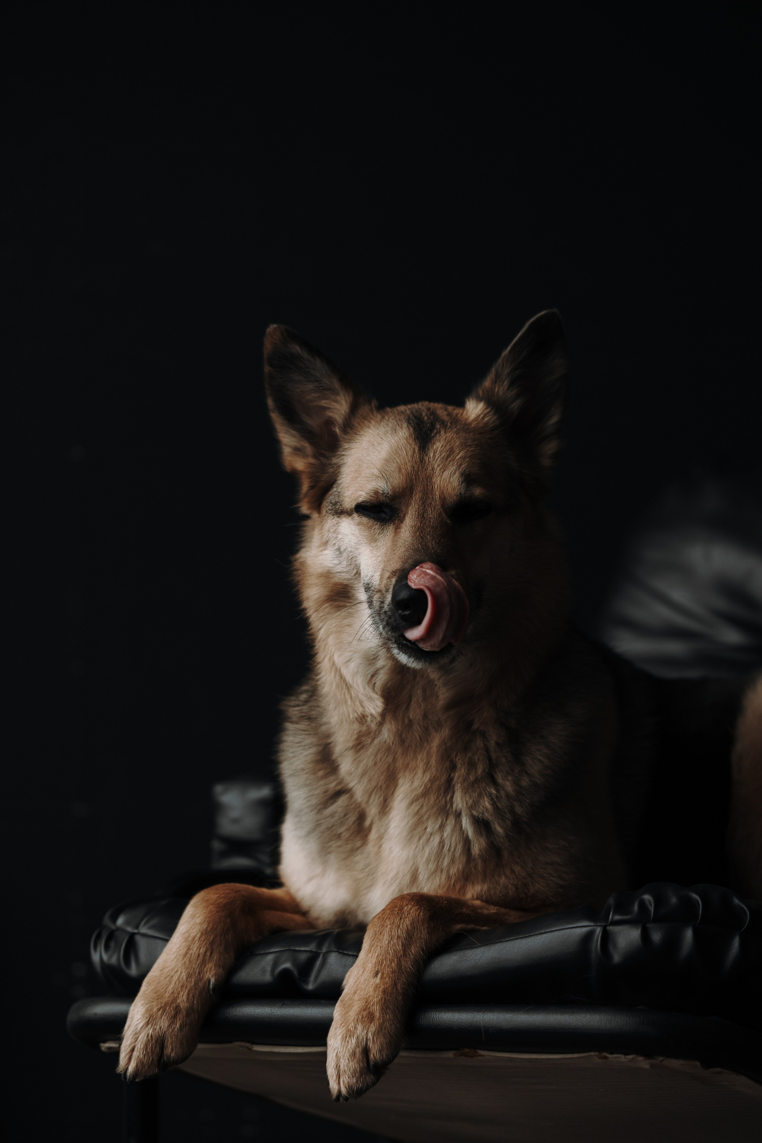 Лена и Дёма. Фотограф — Анималист | Санкт-Петербург