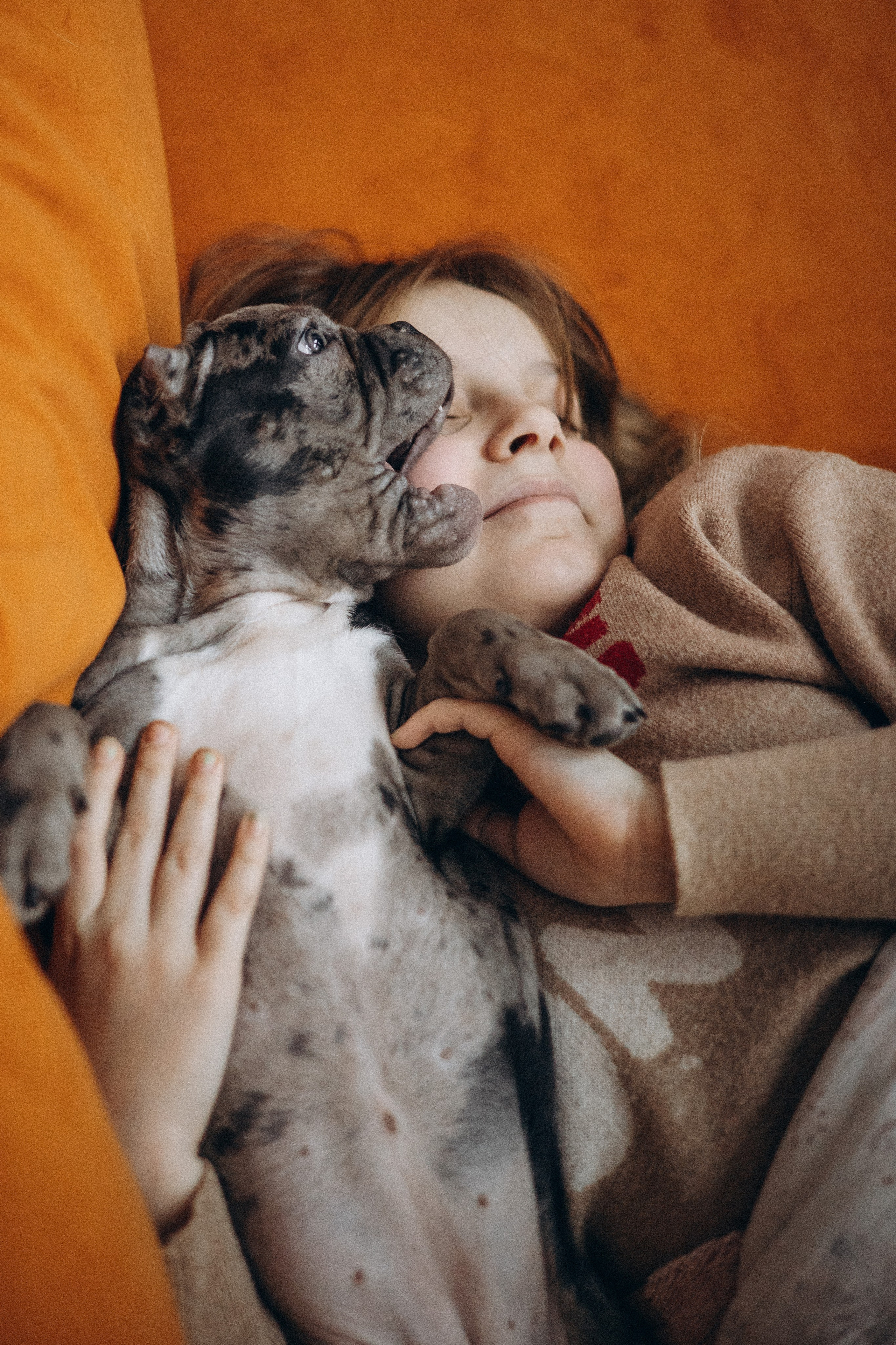 Семейная для Ксюши. Фотограф — Анималист | Санкт-Петербург