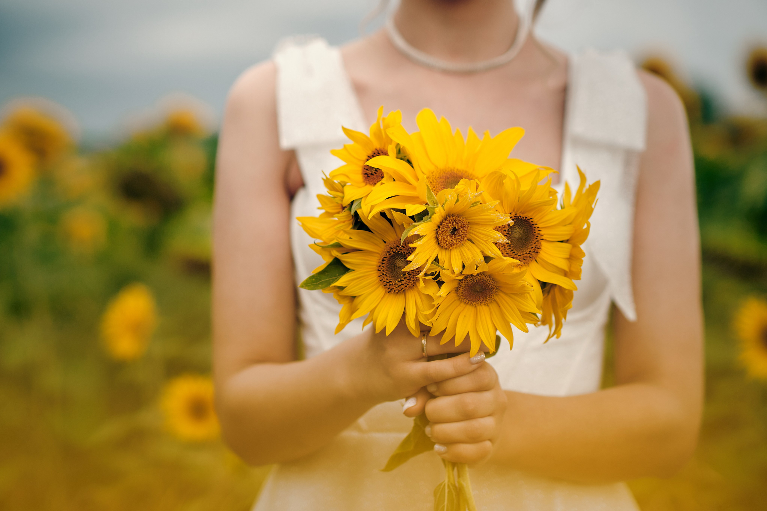 Свадьбы. Reshonov Photo