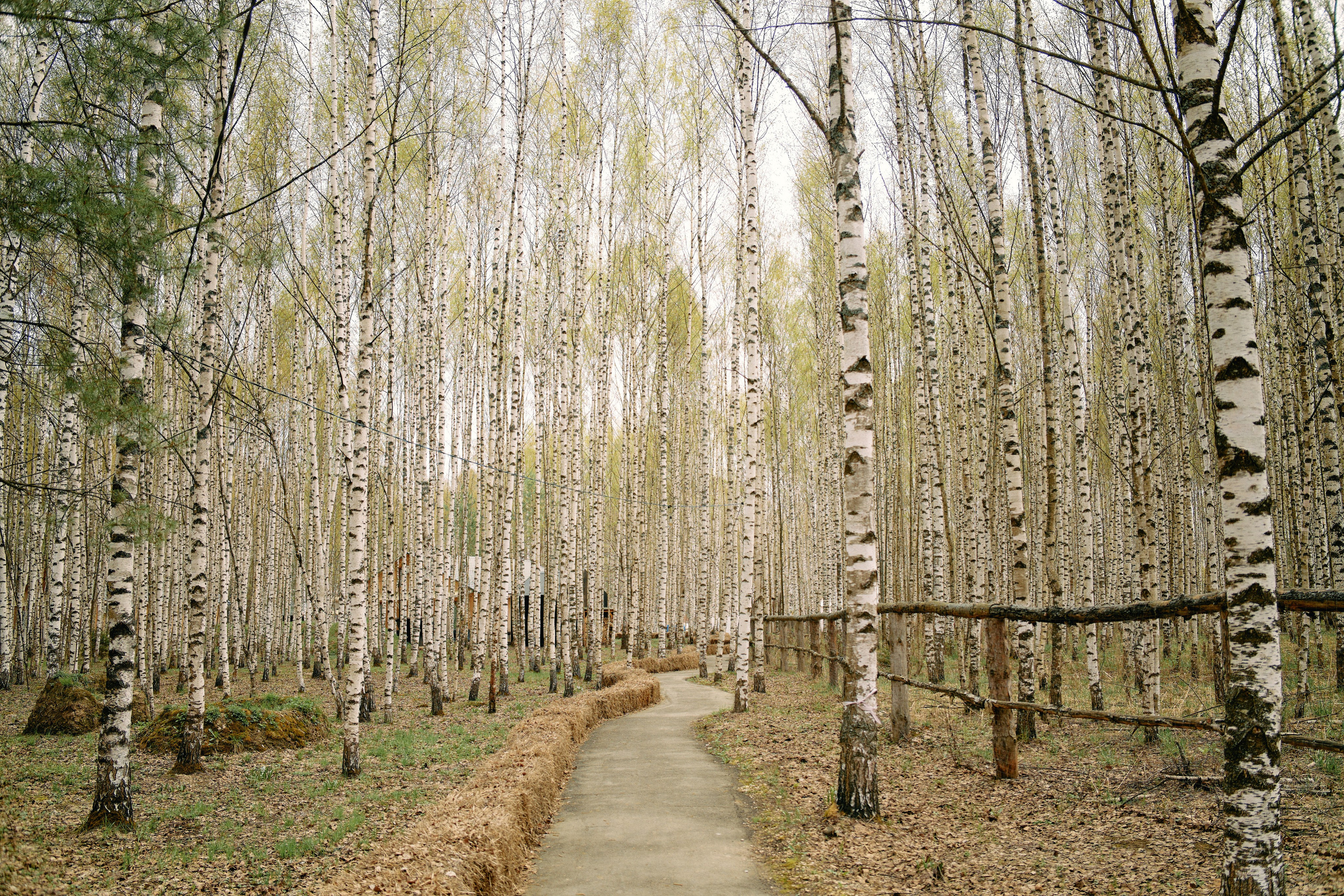 Бутик-отель Поле летом. Профессиональный Фотограф во Владимире, в Москве и в Суздале — Полина Романычева