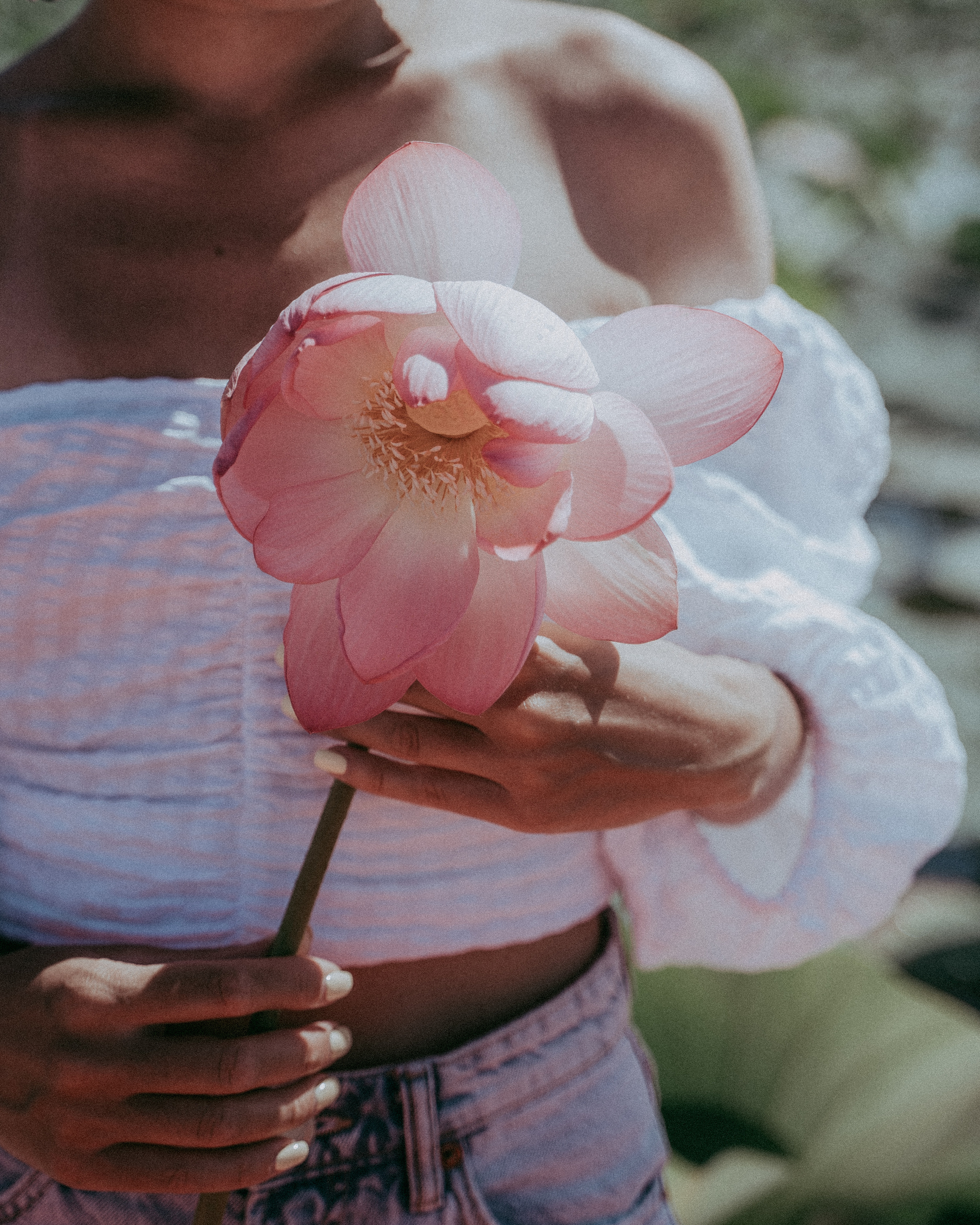 Лотосы. Творческий фотограф взрослых и детей в Москве Анна Блифернец