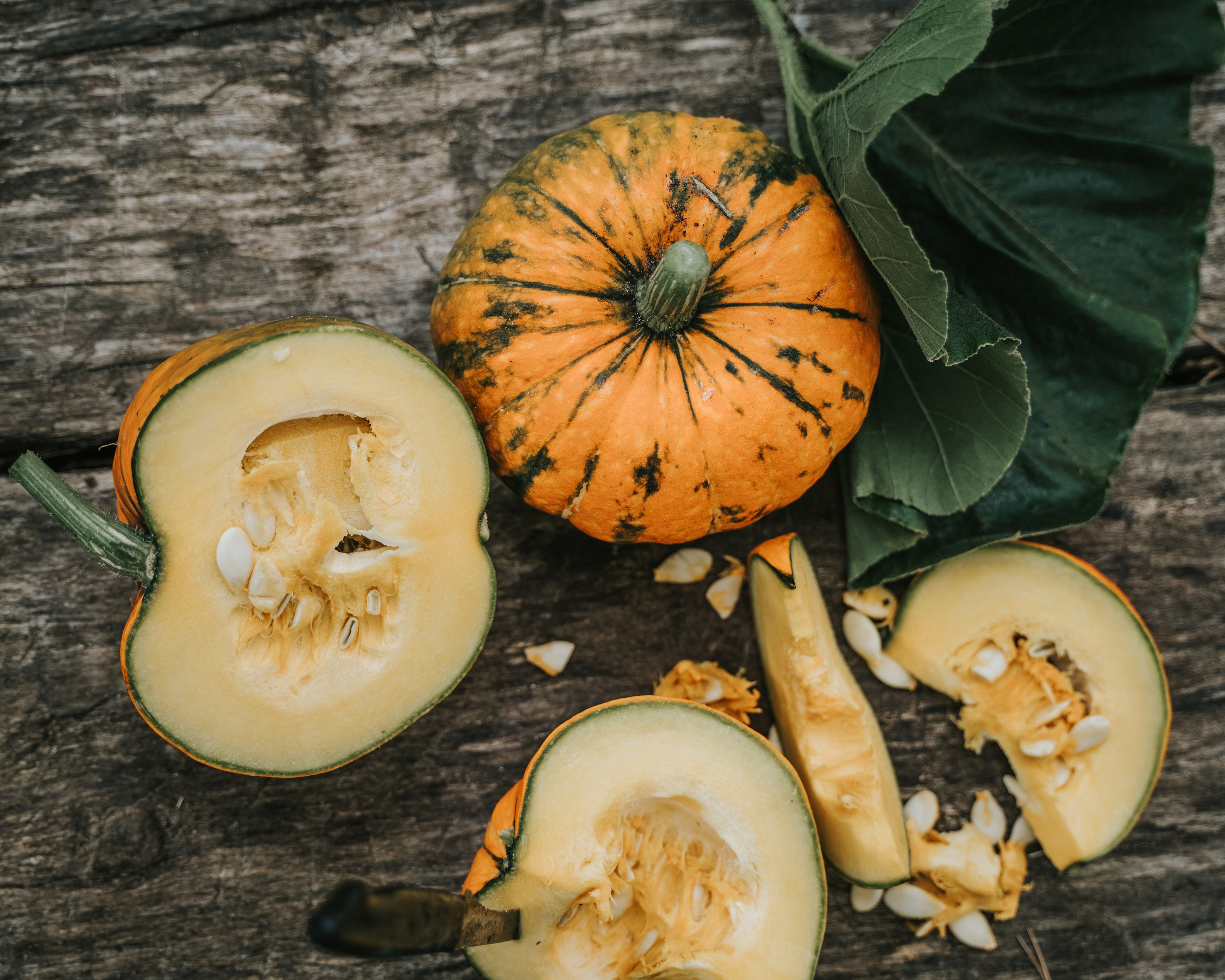 Саша. Творческий фотограф взрослых и детей в Москве Анна Блифернец