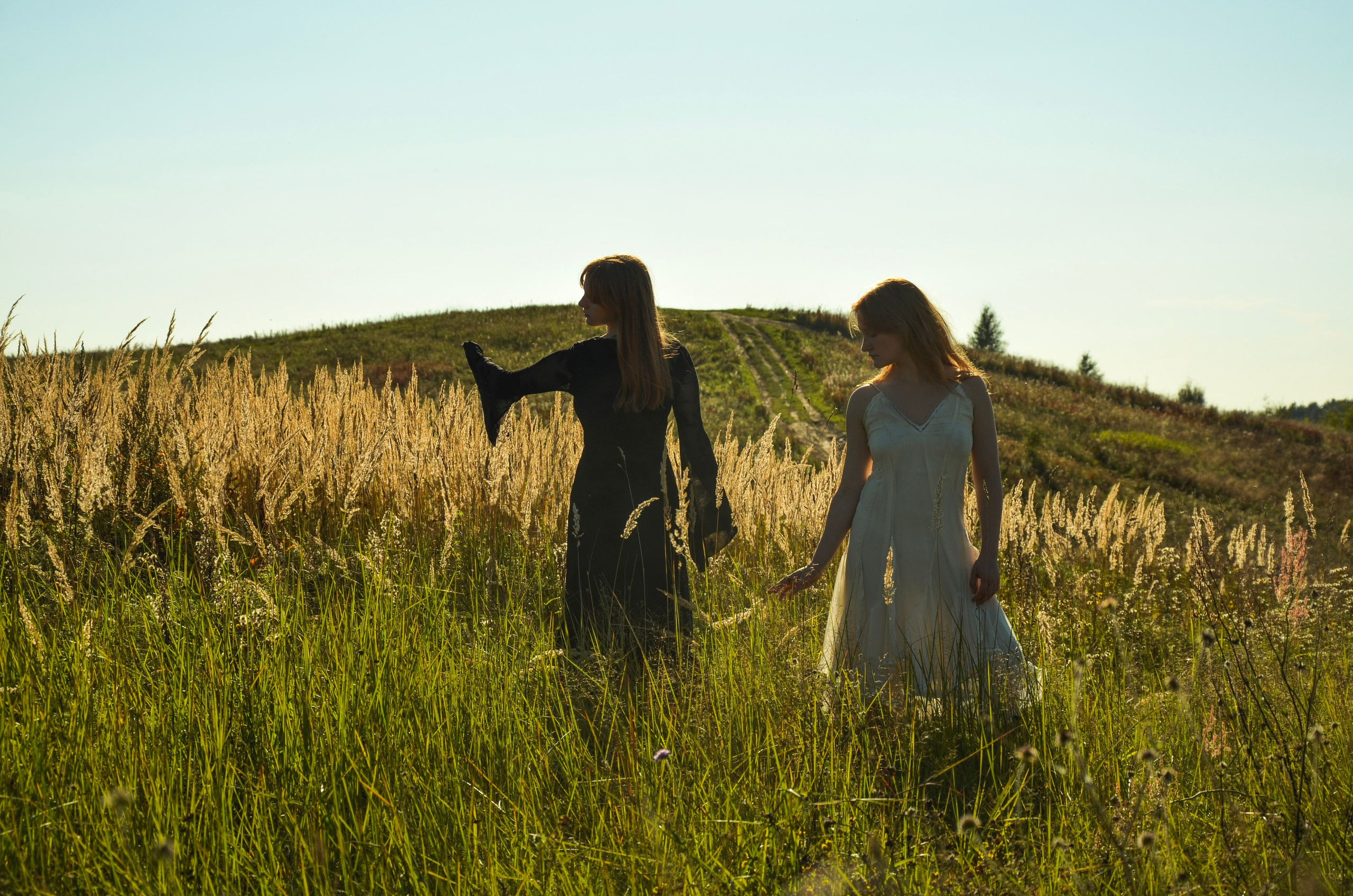 Колосья. Фотограф СПб | Лесная фотосессия