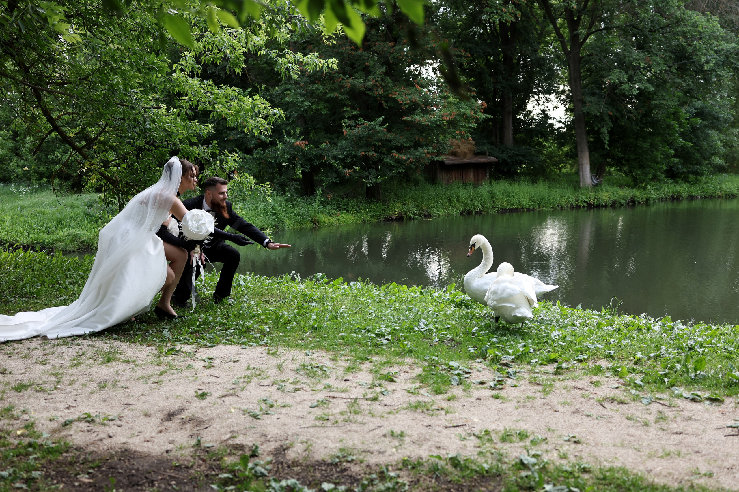 Валерия и Николай. Свадебный и семейный фотограф в Воронеже Ксения Воротникова