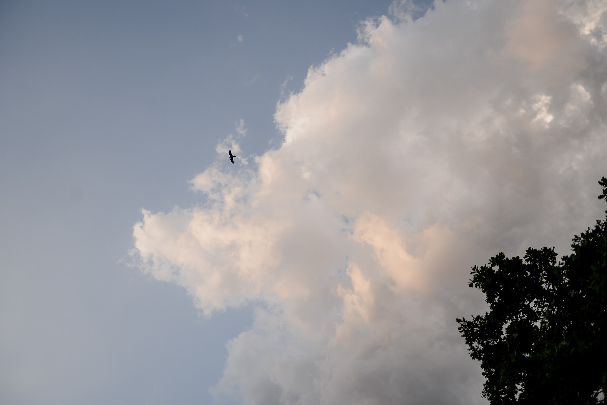 Анастасия и Артём. Свадебный и семейный фотограф в Рязани Калинкина Мария