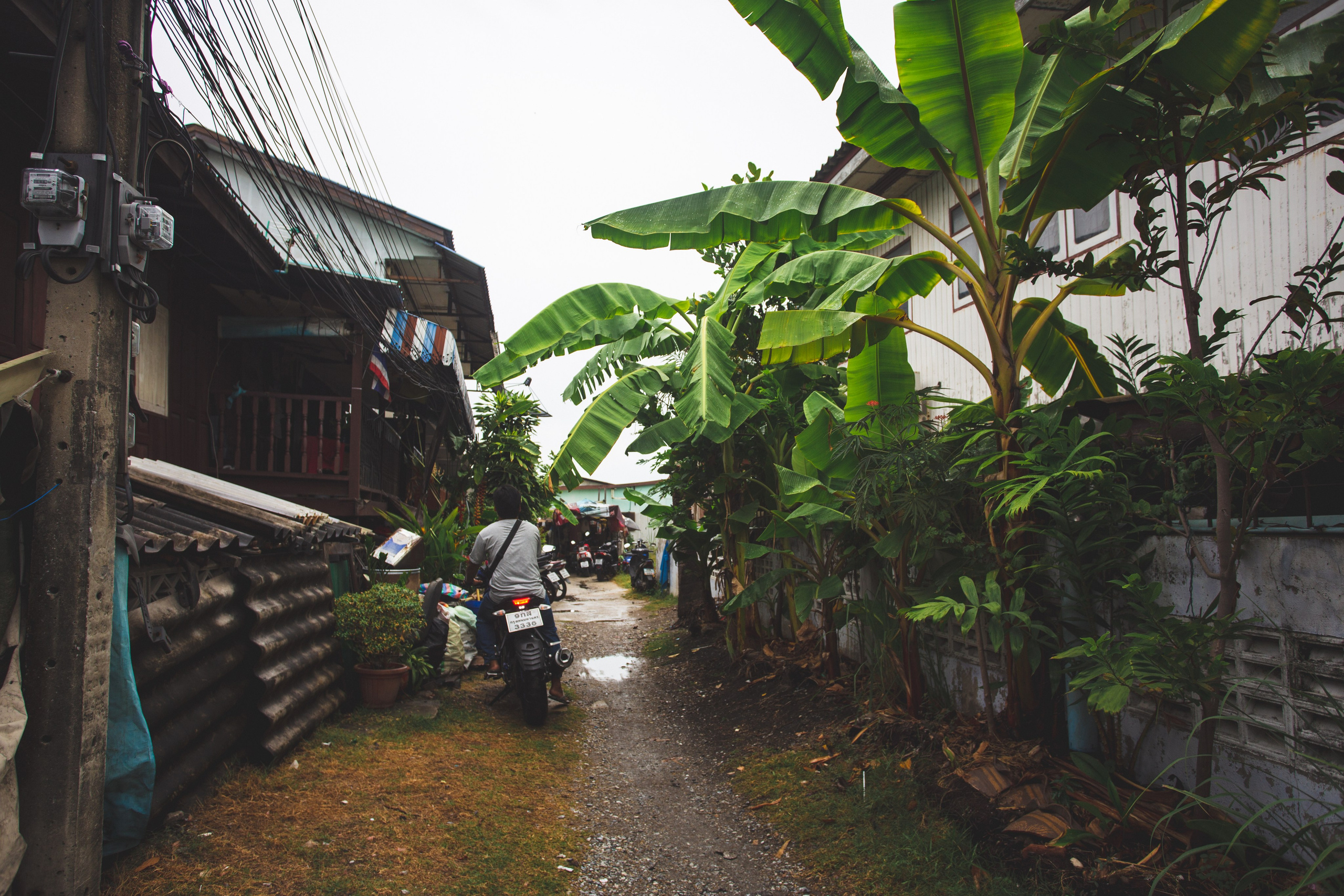 Samut Prakan. Фотограф Сонкина Татьяна