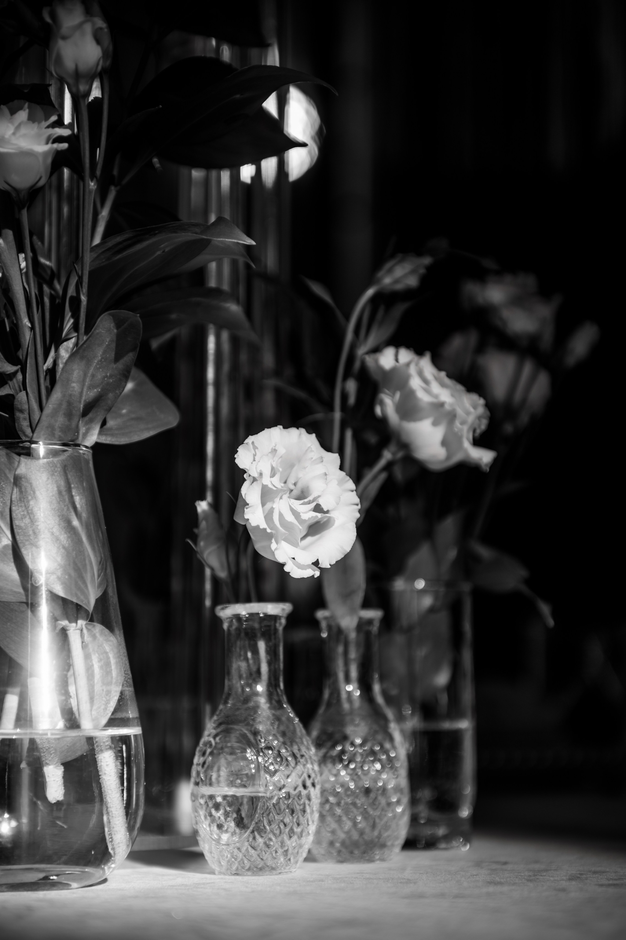 В первых лучах!. Dmitry Unik — ваш стильный фотограф