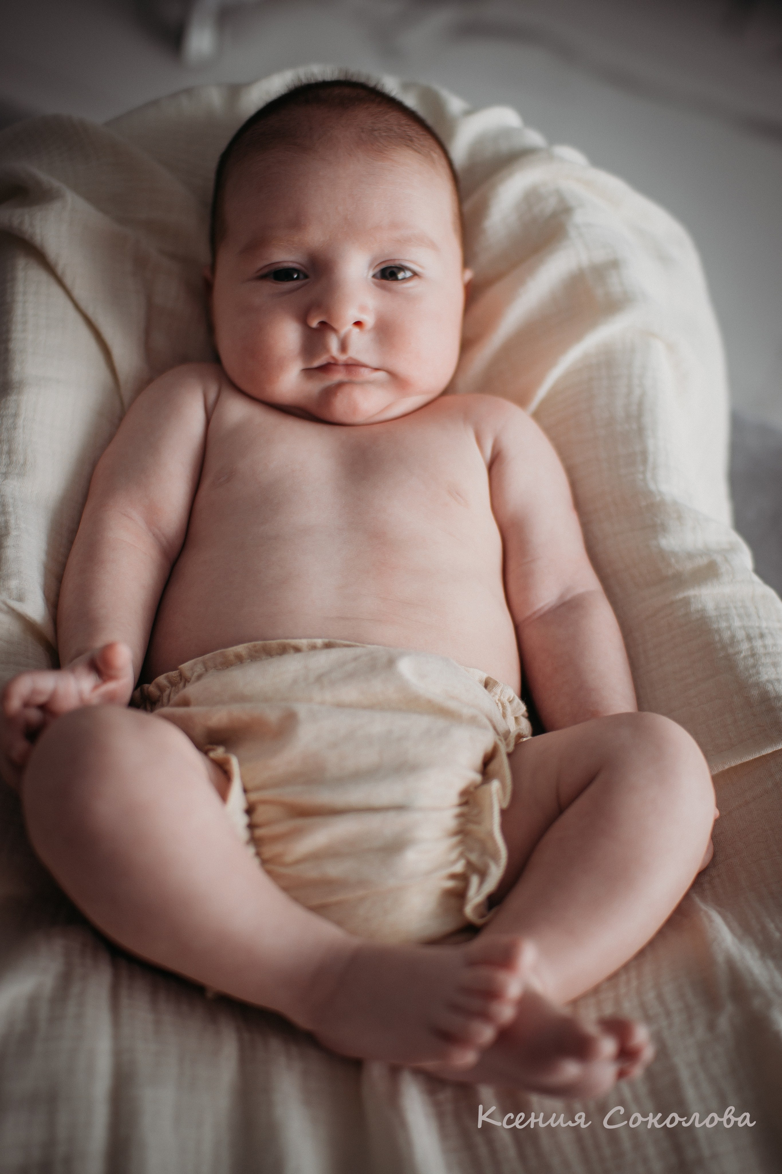 alt="семейный фотограф alt="фотограф новорожденных alt="фотосессия новорожденного alt="newborn alt="ньюборн