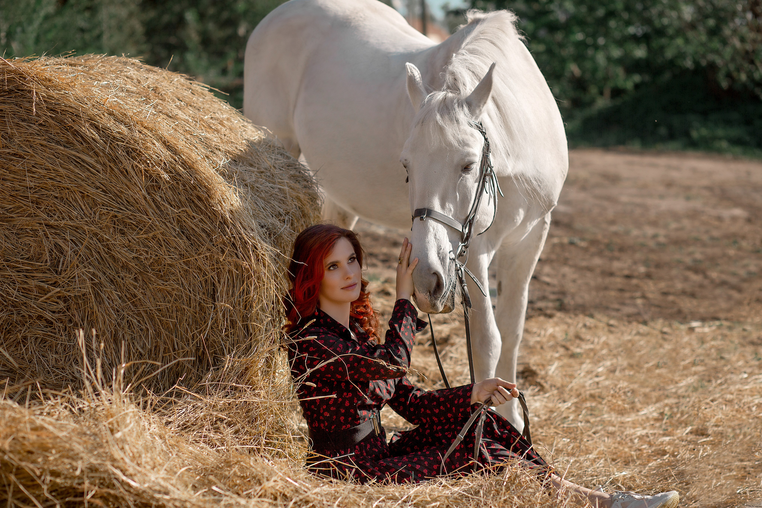 Екатерина и Воробей. Фотосессия с лошадьми в Нижнем Новгороде