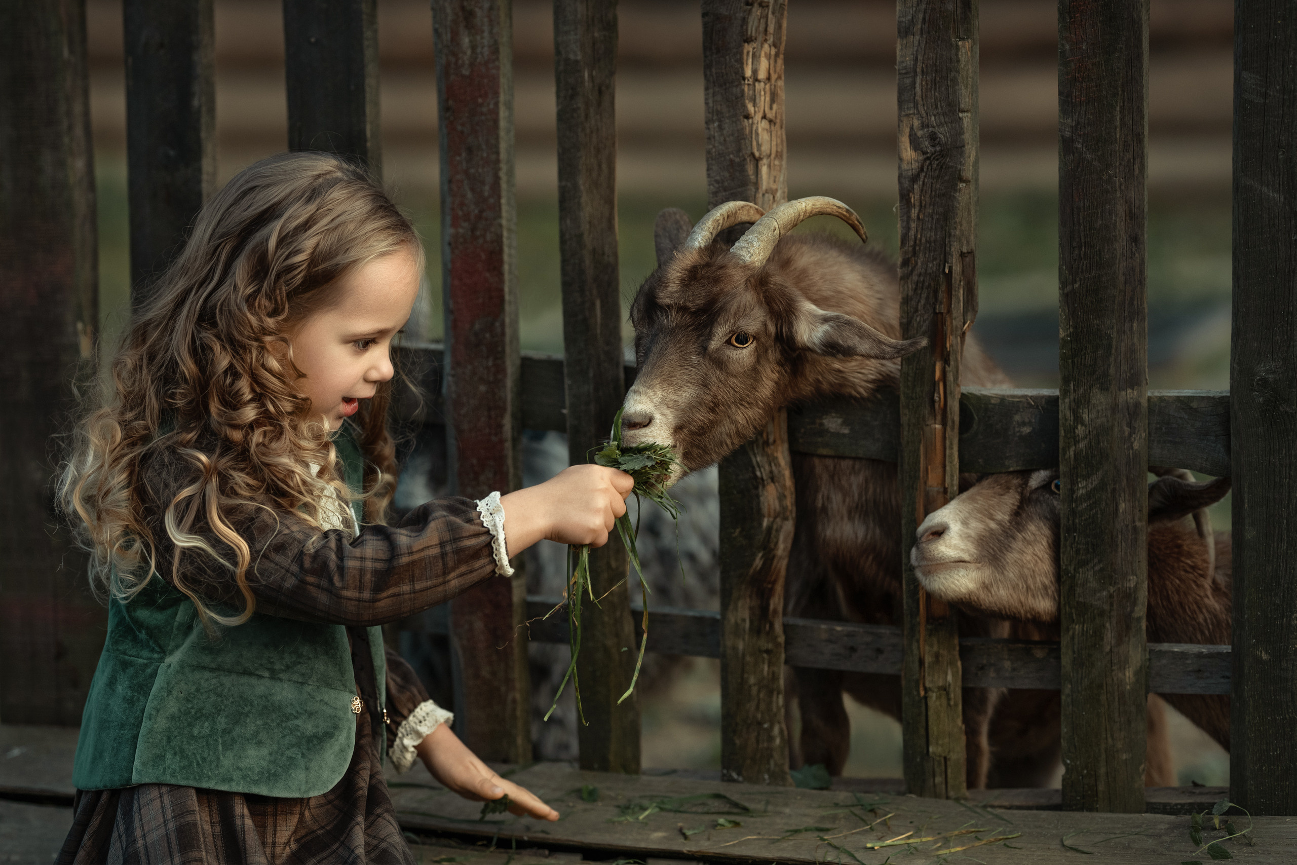 Детки с животными. Портфолио