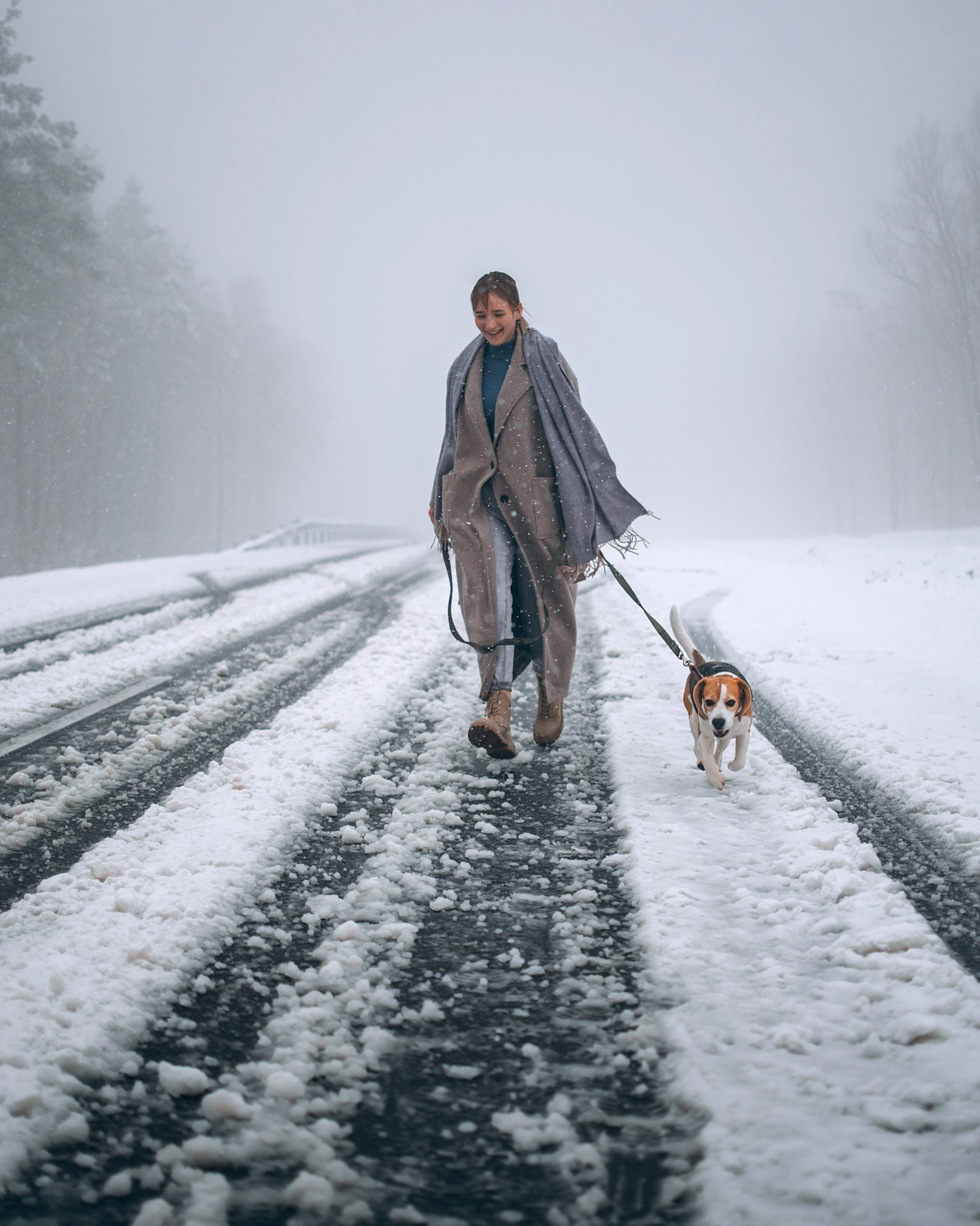 Прогулка с собаками: бигли и Лена. Портфолио