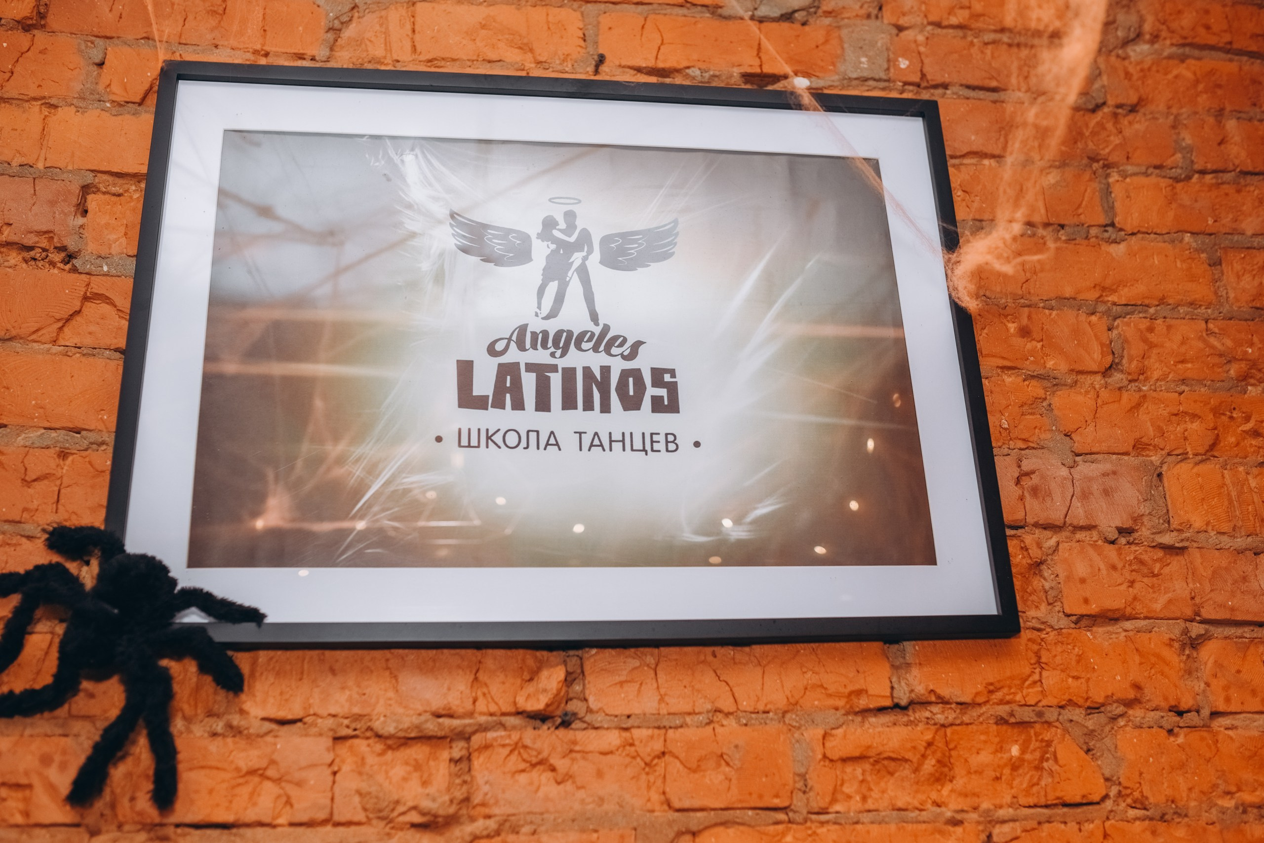 День рождения Вики в стиле Хеллоуин. Ульяна Сёмина, фотограф, Москва