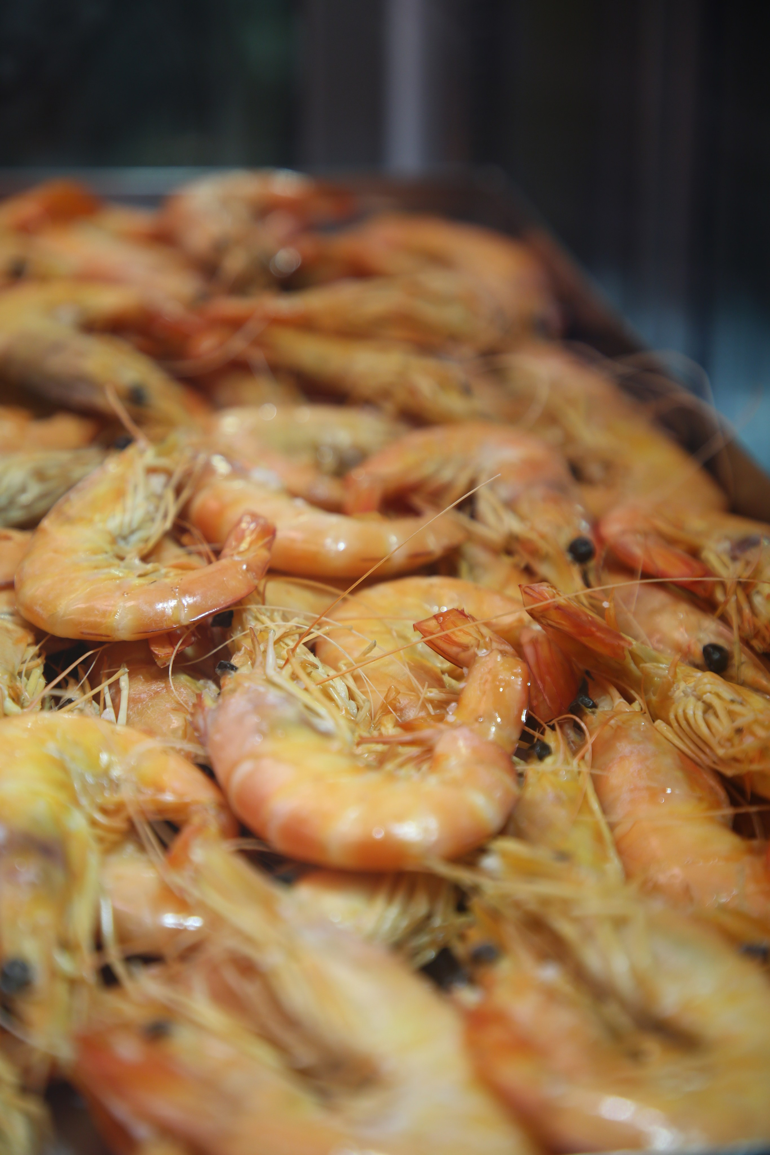 Lisbon, Portugal. Andrey Filippov Photographer