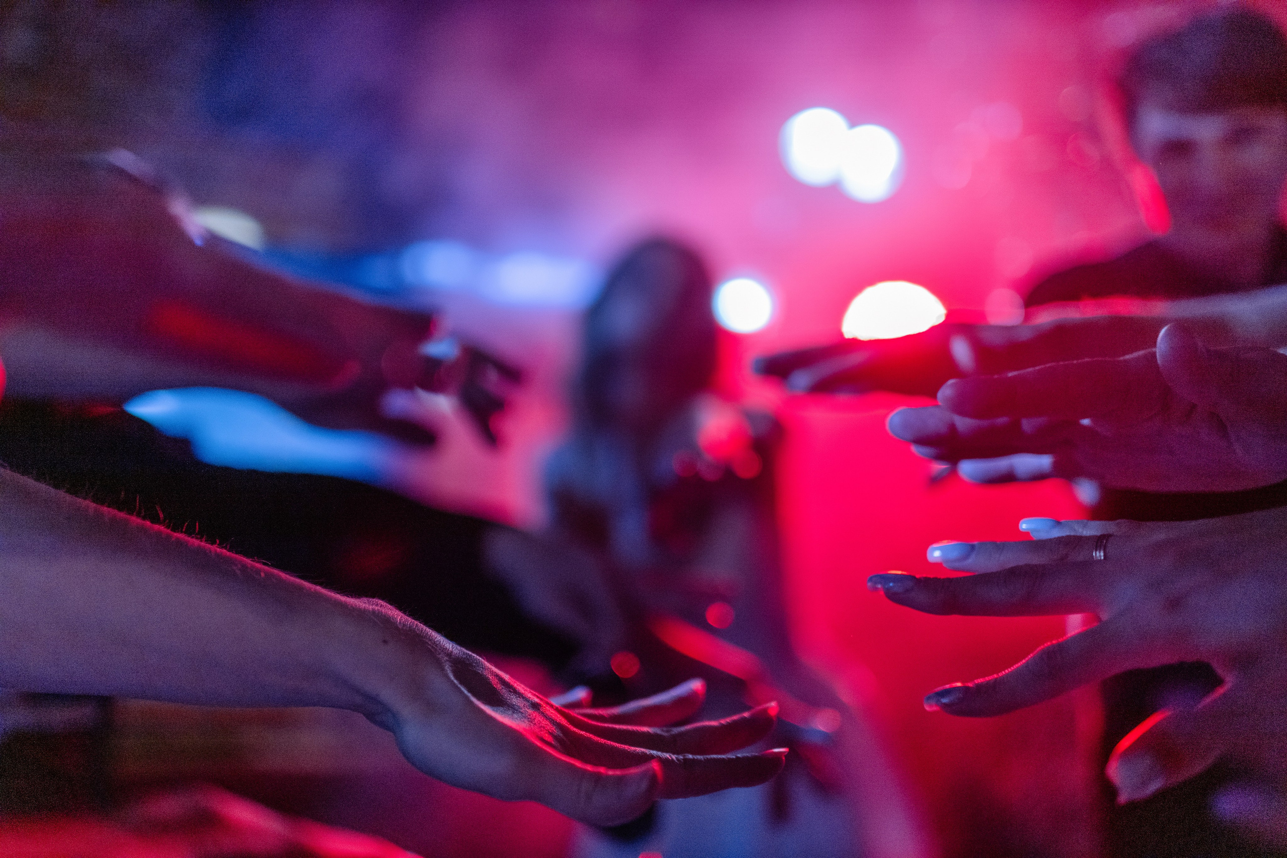 Биба и Боба. Портфолио свадебного фотографа. Роман Каргаполов