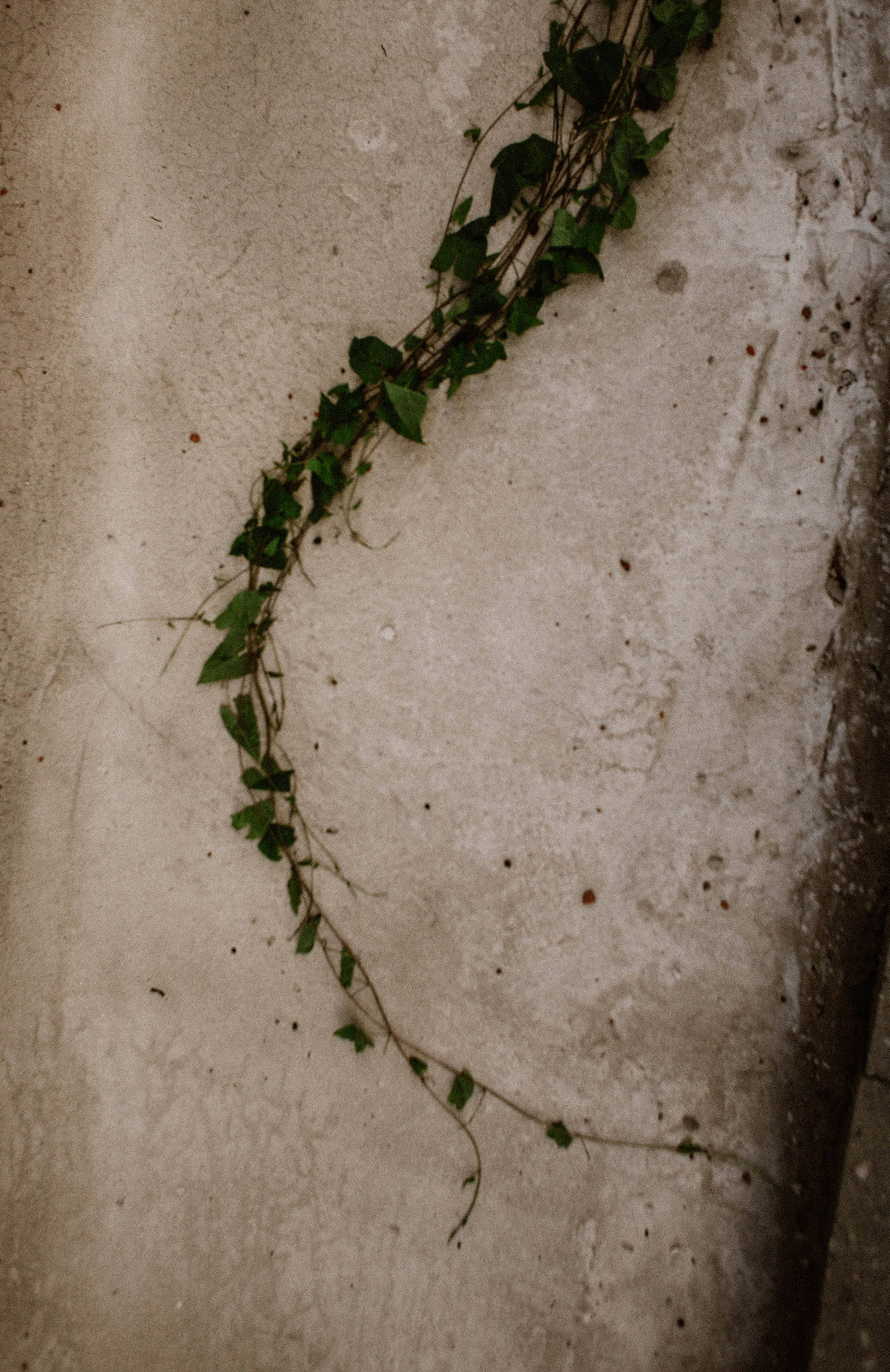 Настя. Прогулка по НН. Фотограф в Нижнем Новгороде