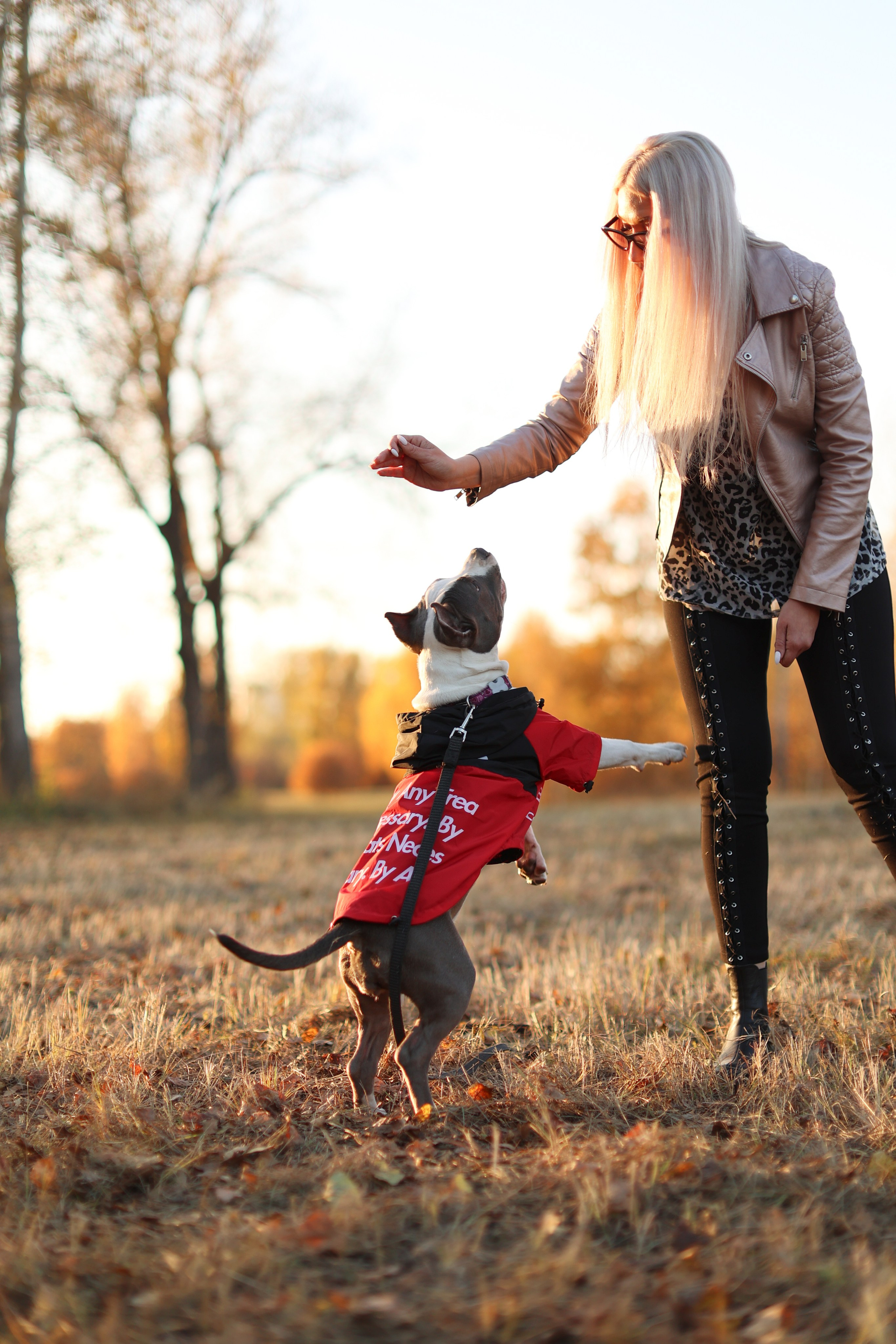 Осень. Art my Pho