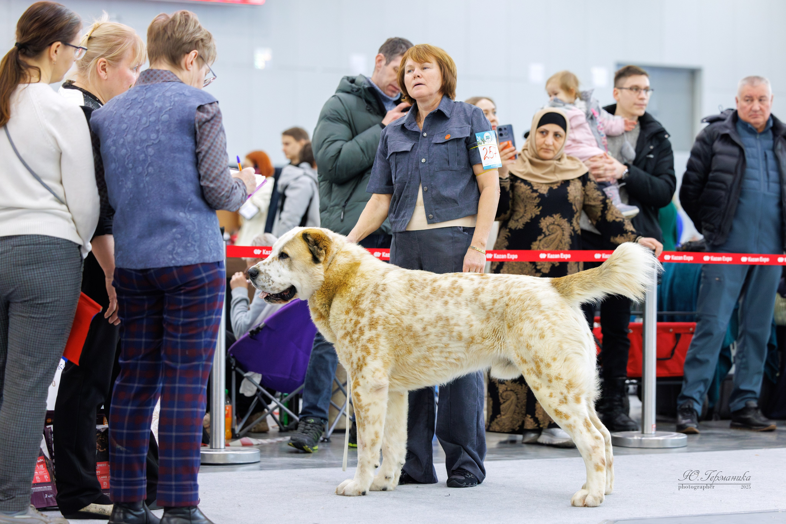 Сабанеевка Казань 25-26.01.2025. Фотограф-анималист Юлия Германика