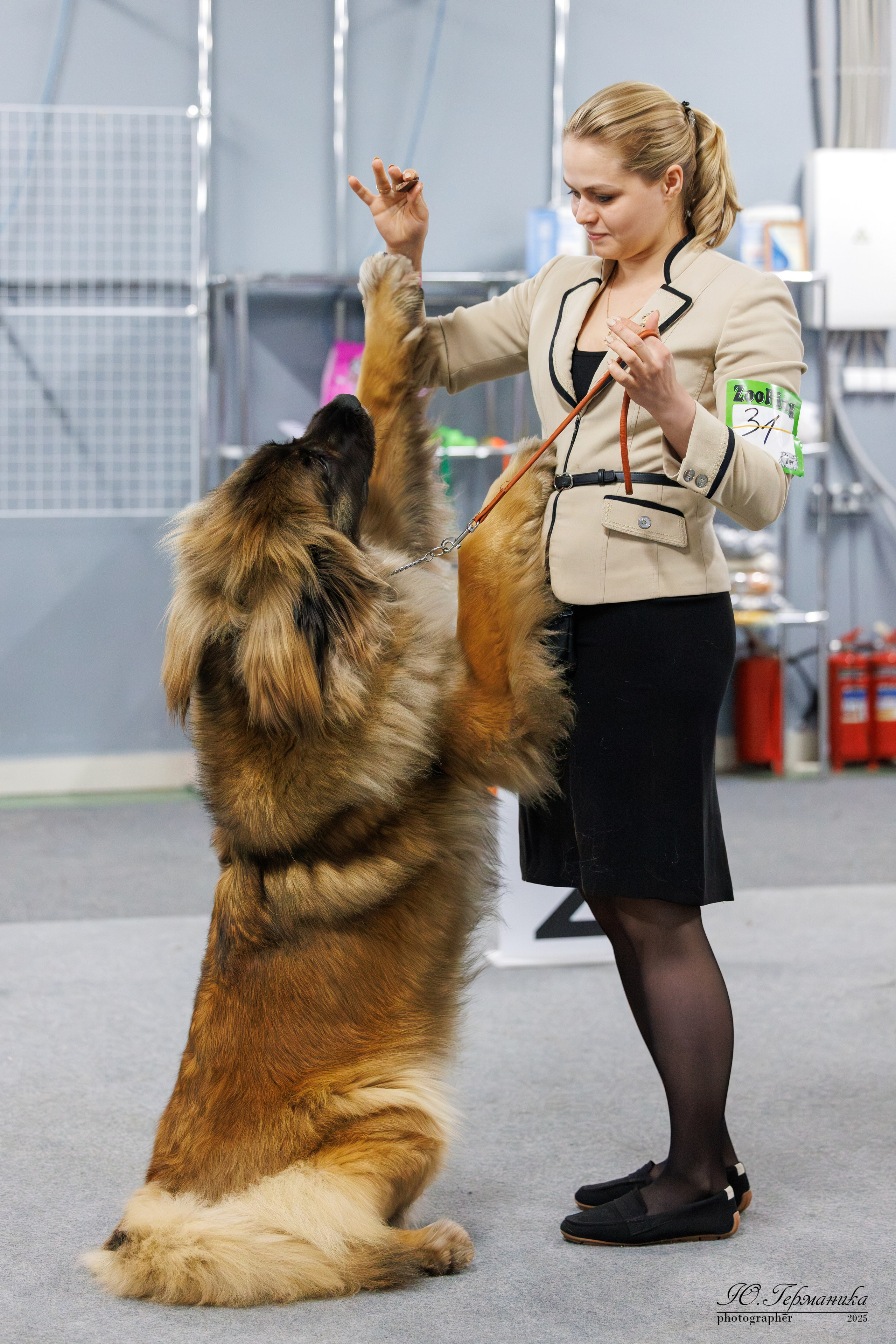 Тверь 12.04,Сфера 13.04,Сергиев Посад 19.04.2025. Фотограф-анималист Юлия Германика