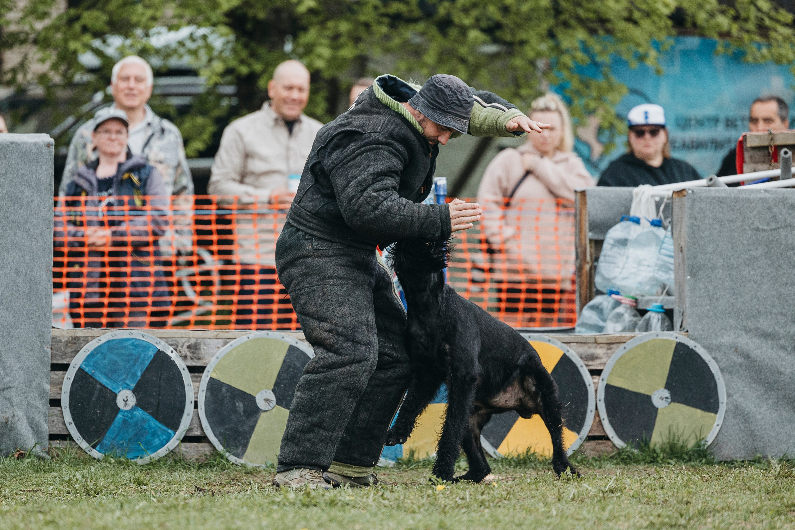 26.05.25 г. Пушкин квалификационные соревнования. Фотограф-анималист Анна Маринич