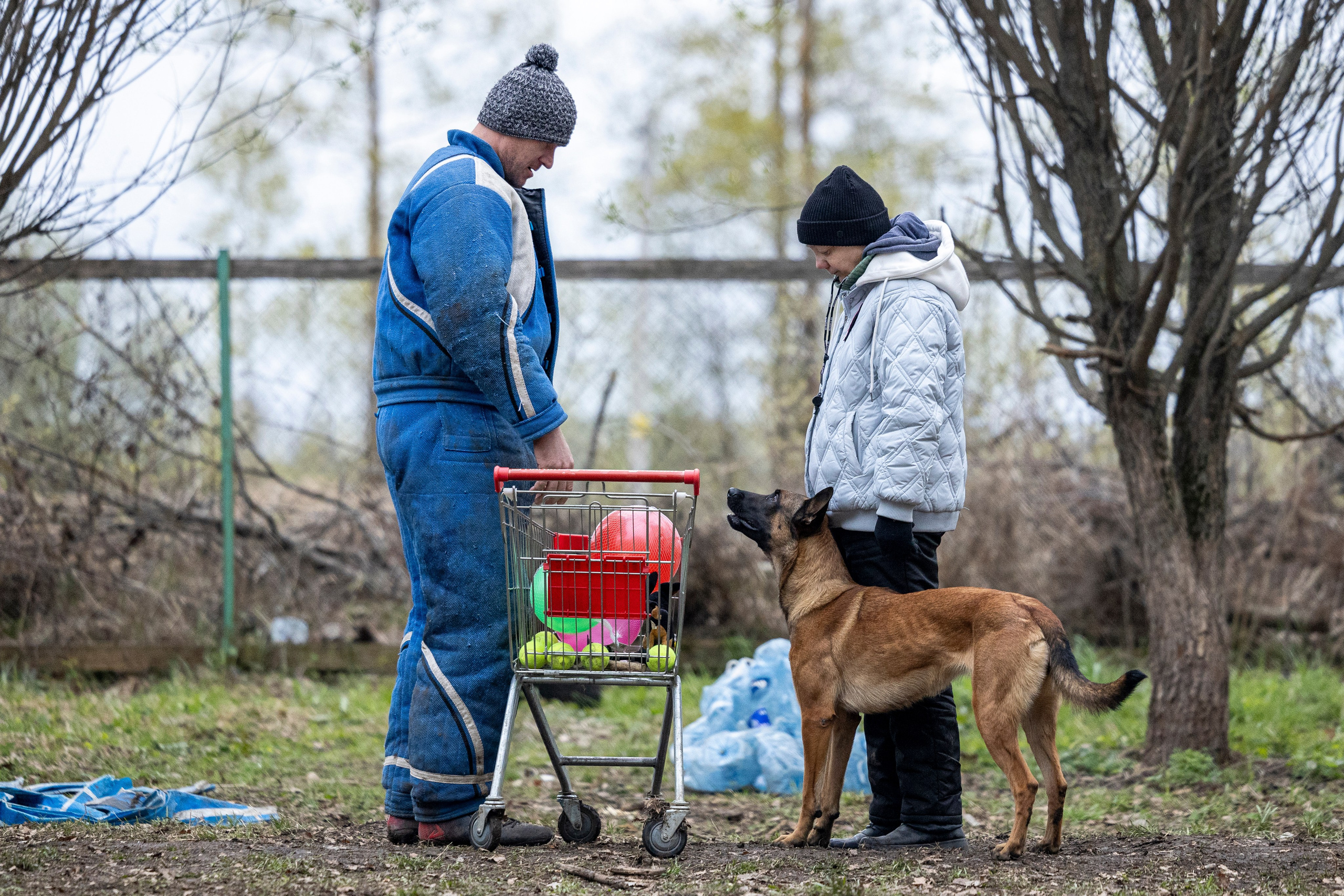 Квалификационные состязания по мондьорингу г. Вологда 11.05.24. Фотограф-анималист Анна Маринич