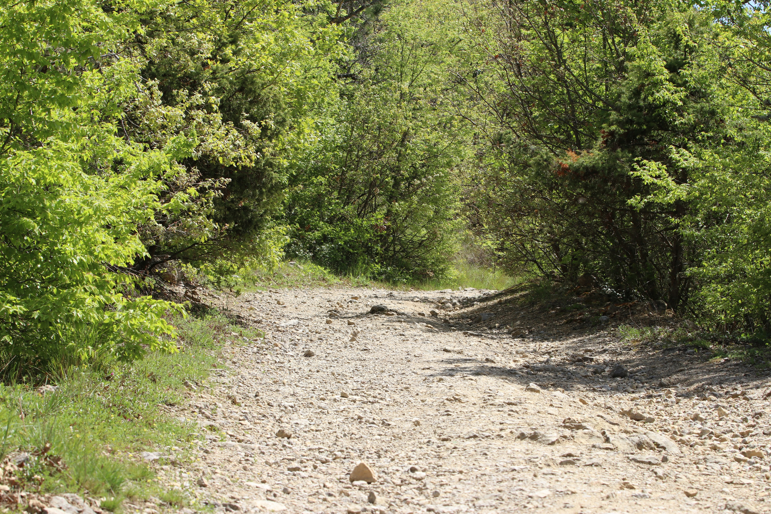 Крым. ЮБК (Севастополь, Кастрополь, Ялта). Май 2023. Путешественник-фотограф из Санкт-Петербурга Татьяна Свистулина