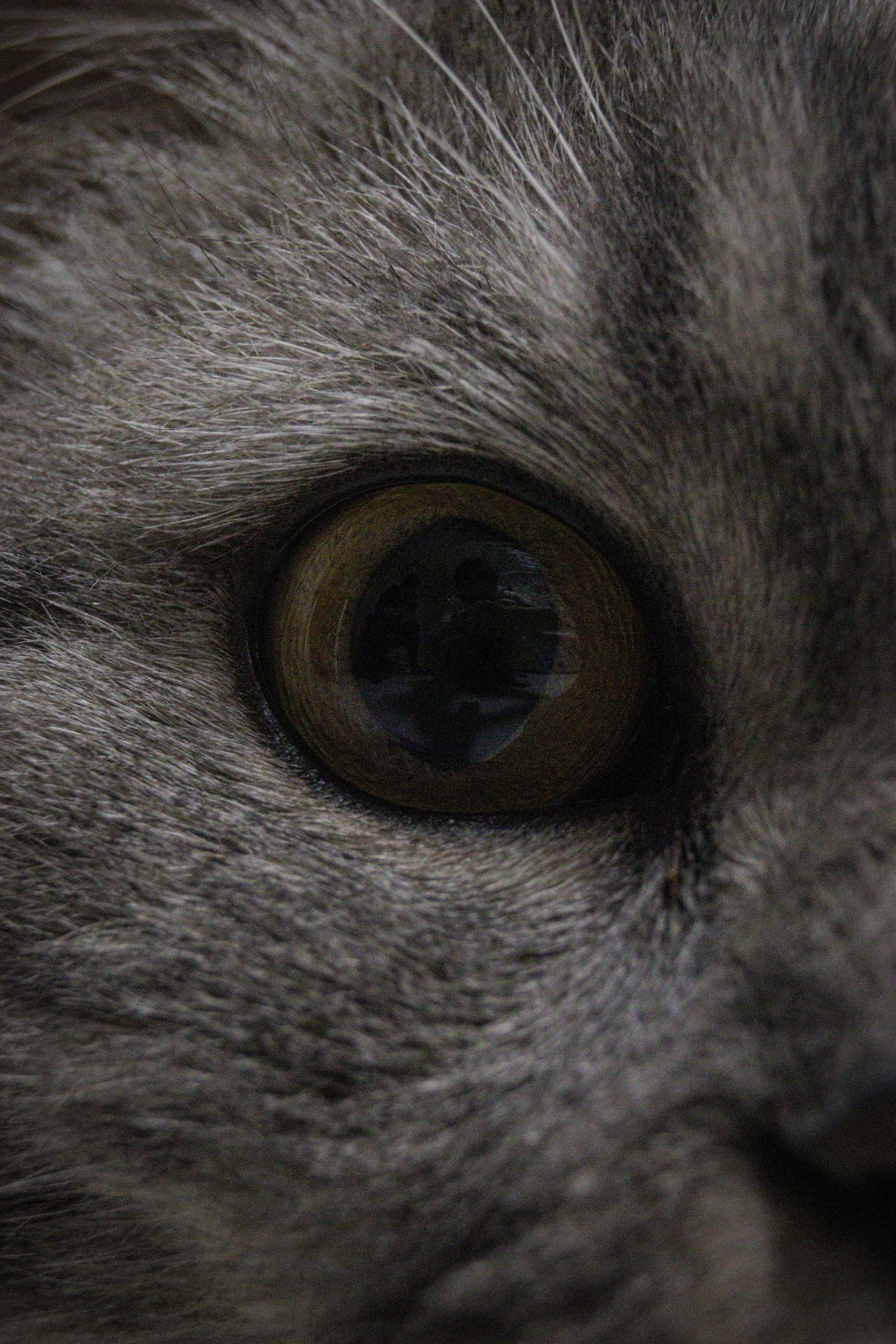 М А Р Т И Н. — Digital Noise —