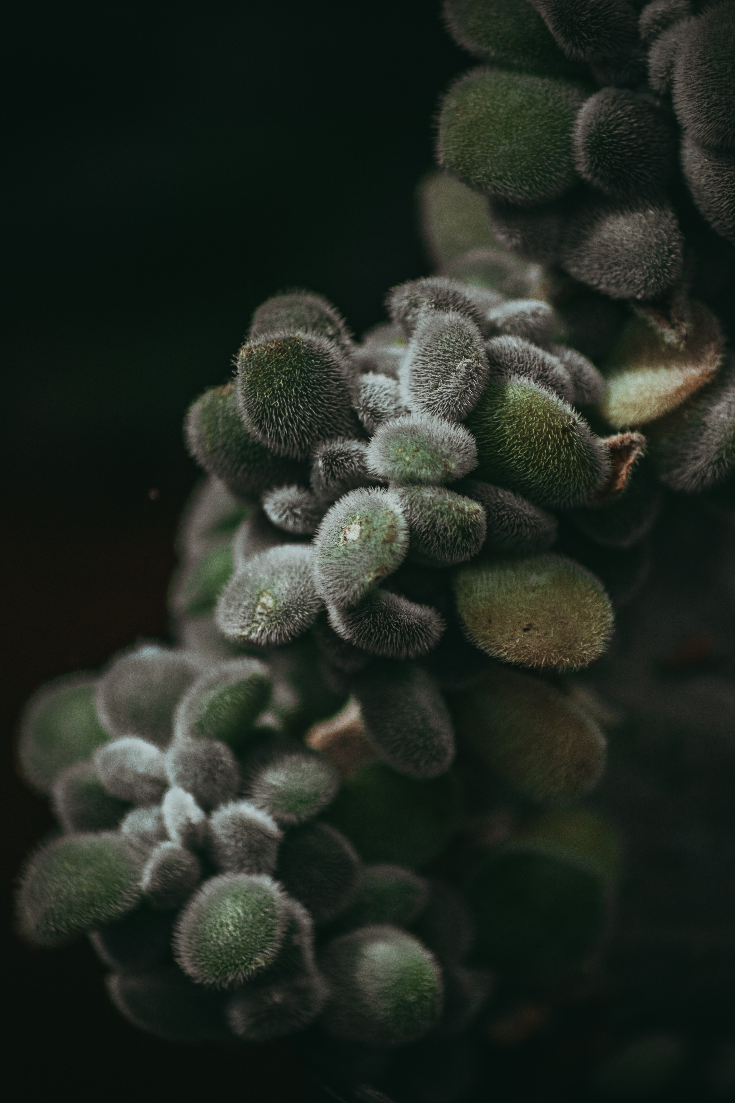 М А К Р О. — Digital Noise —