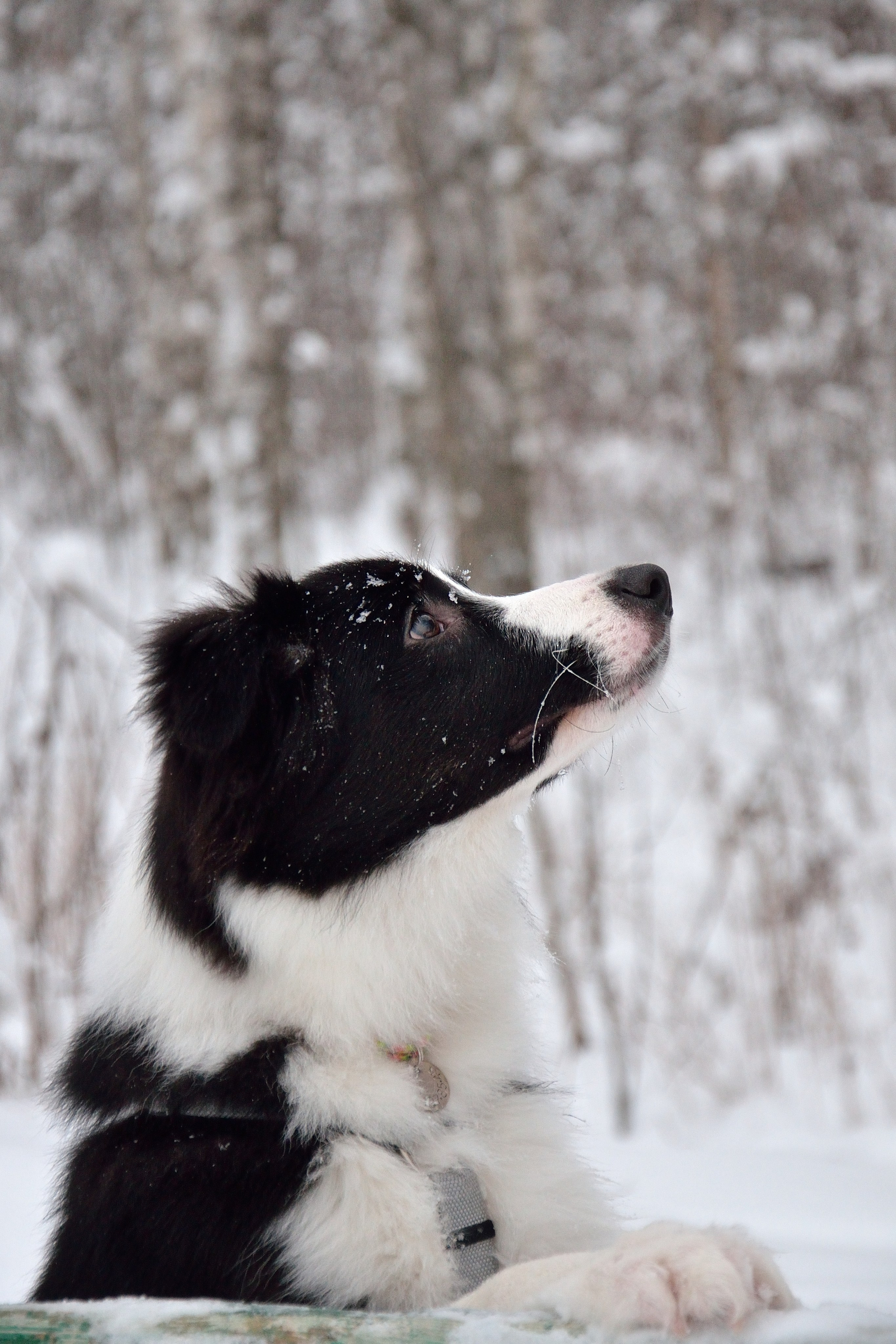 Муня. Добро пожаловать на мой сайт, меня зовут Наталия, я фотограф
