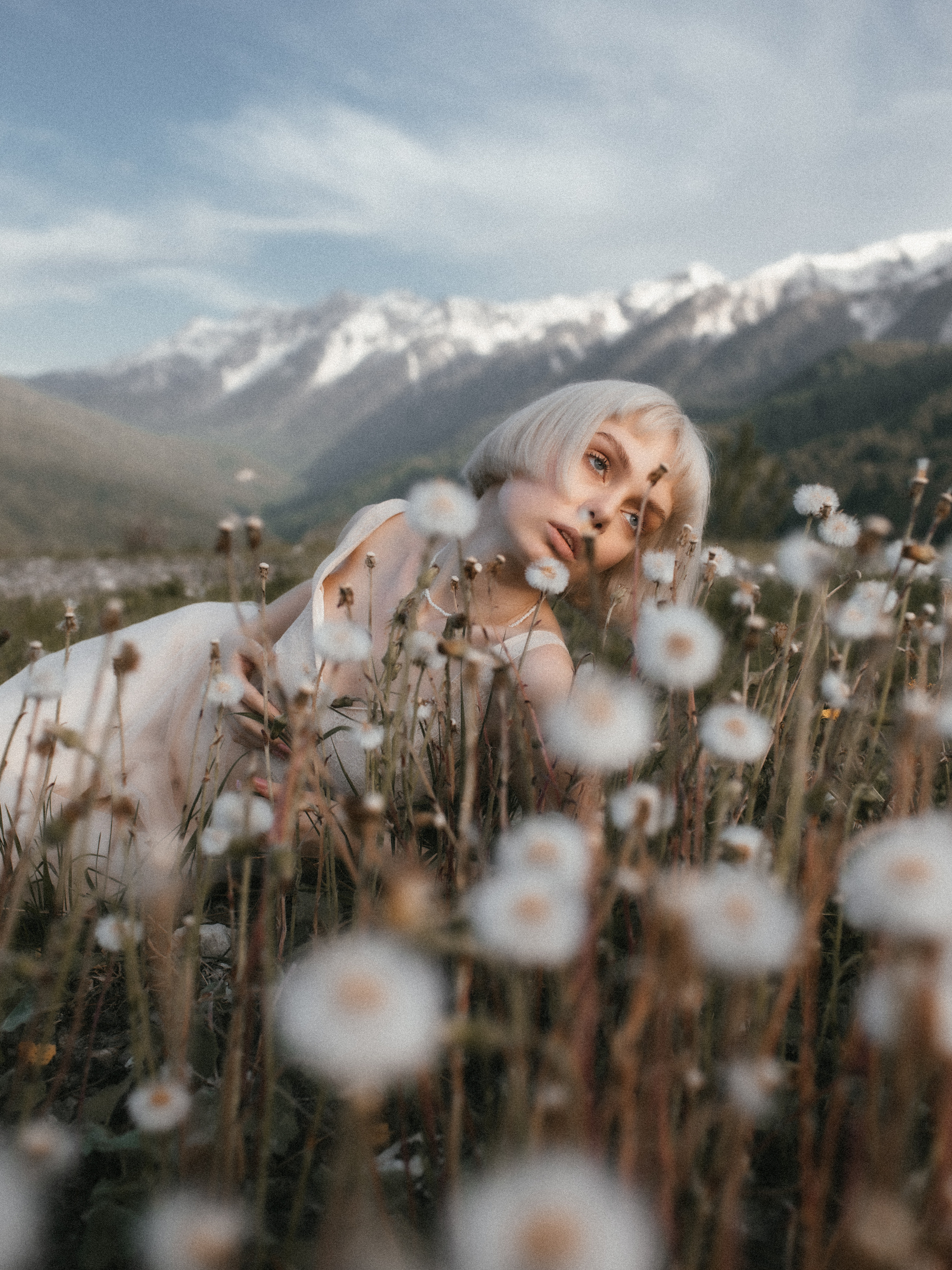 Одуванчики в горах. Иван Кузнецов видеограф, фотограф